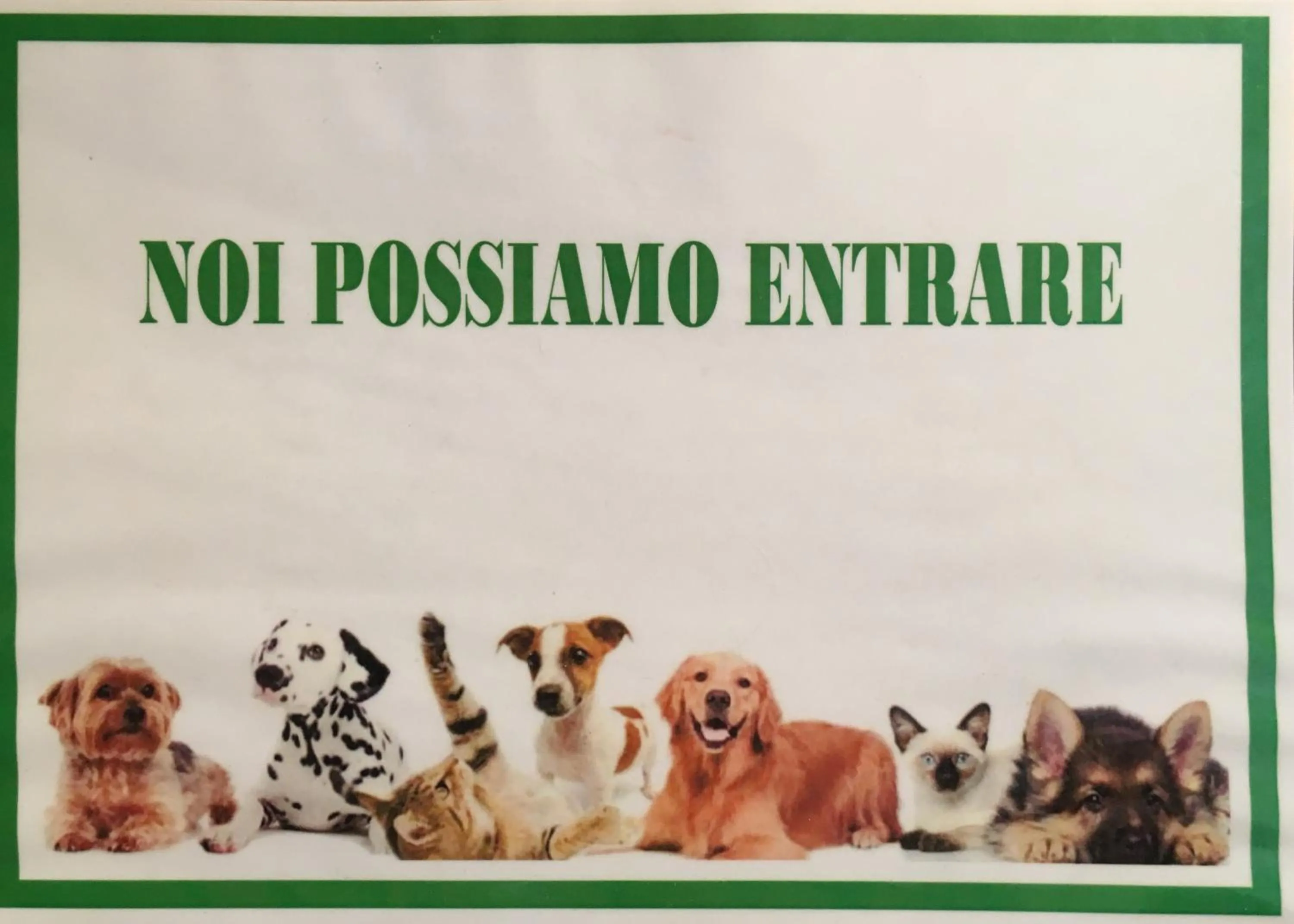 Pets in Sole e Luna