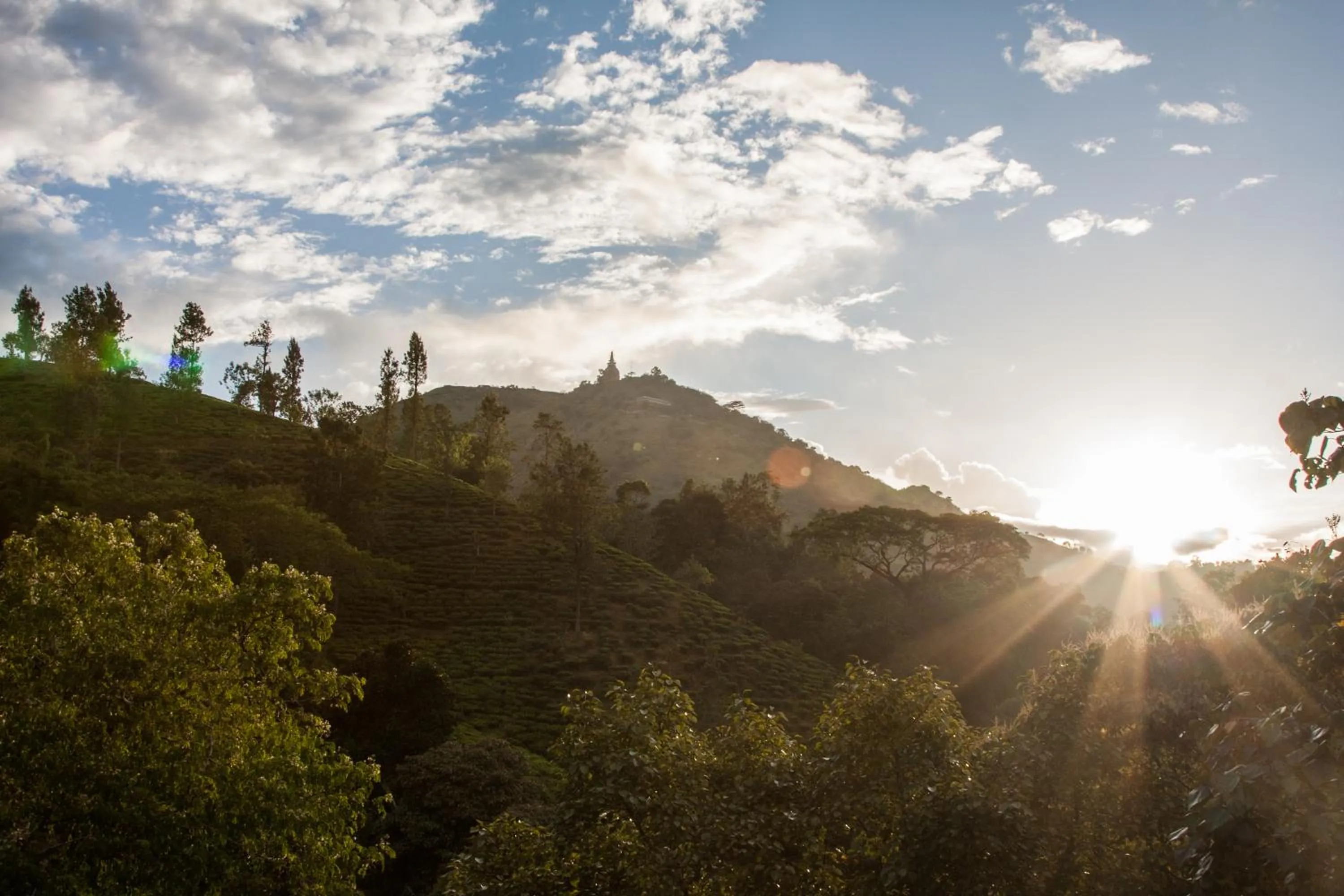 Sunset in Wild Resort Ella