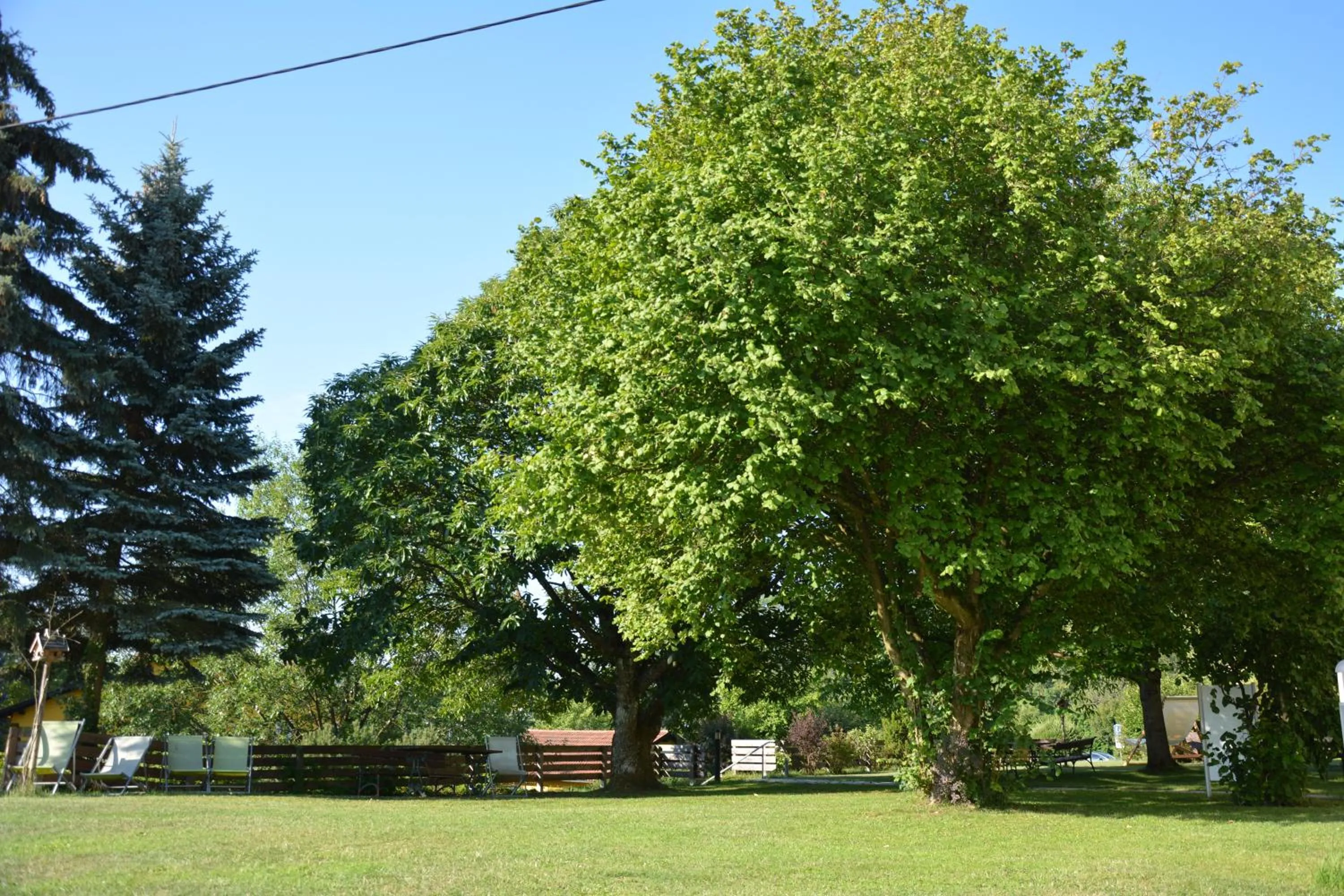 Garden in Hotel Waldheimat