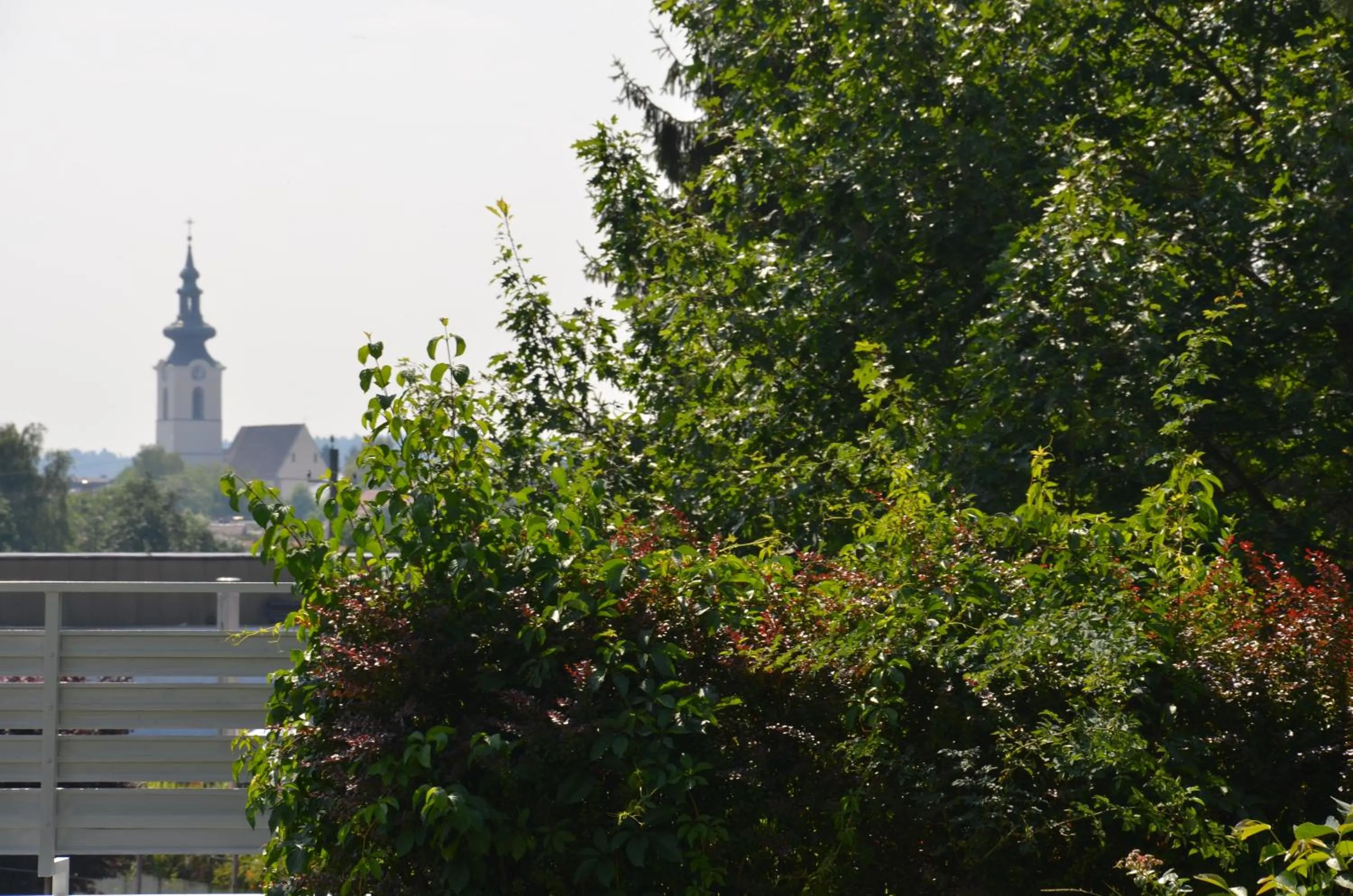 Nearby landmark in Hotel Waldheimat