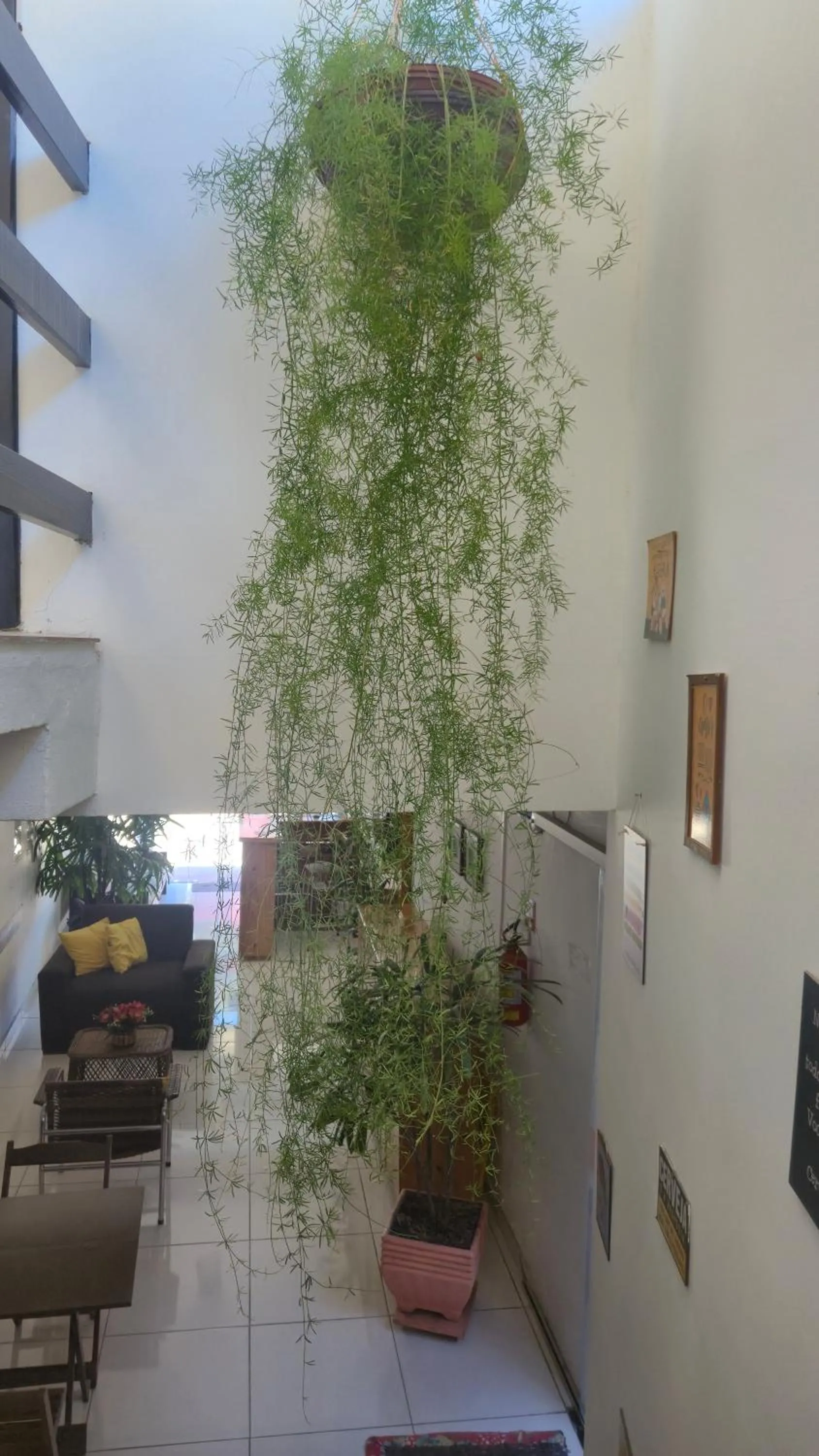 Decorative detail in Magia D'ajuda Hospedagem - Centrinho, próximo à Mucugê