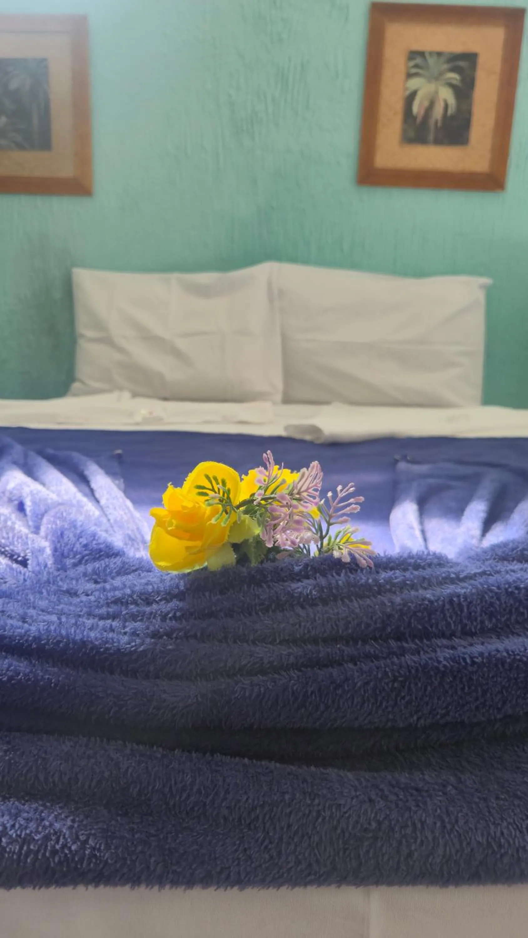 Bed in Magia D'ajuda Hospedagem - Centrinho, próximo à Mucugê