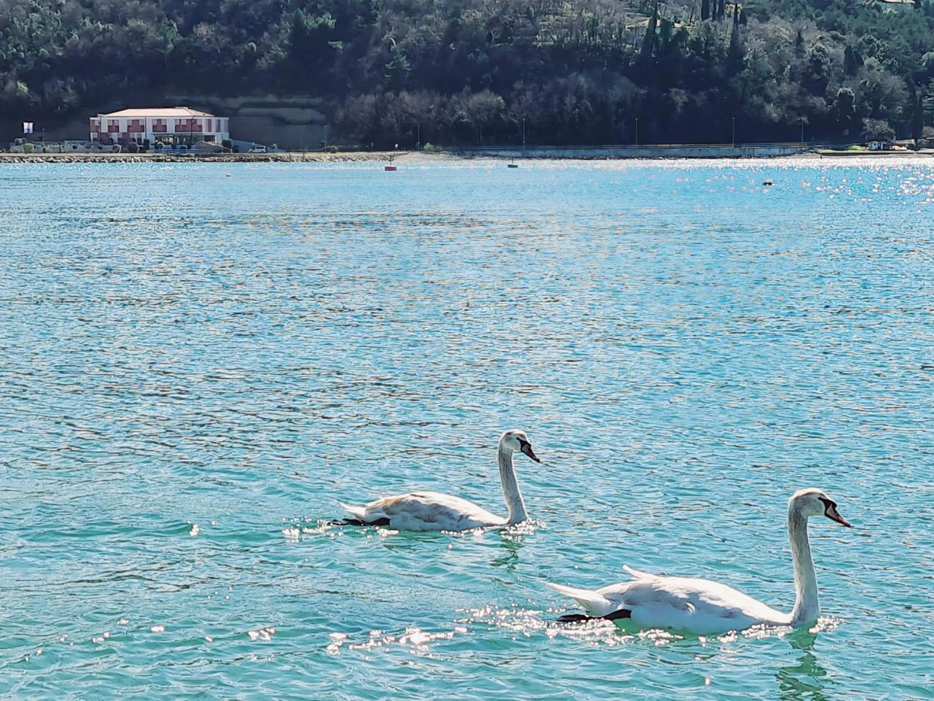 Natural landscape in Hotel Lavender - Oleander Resort