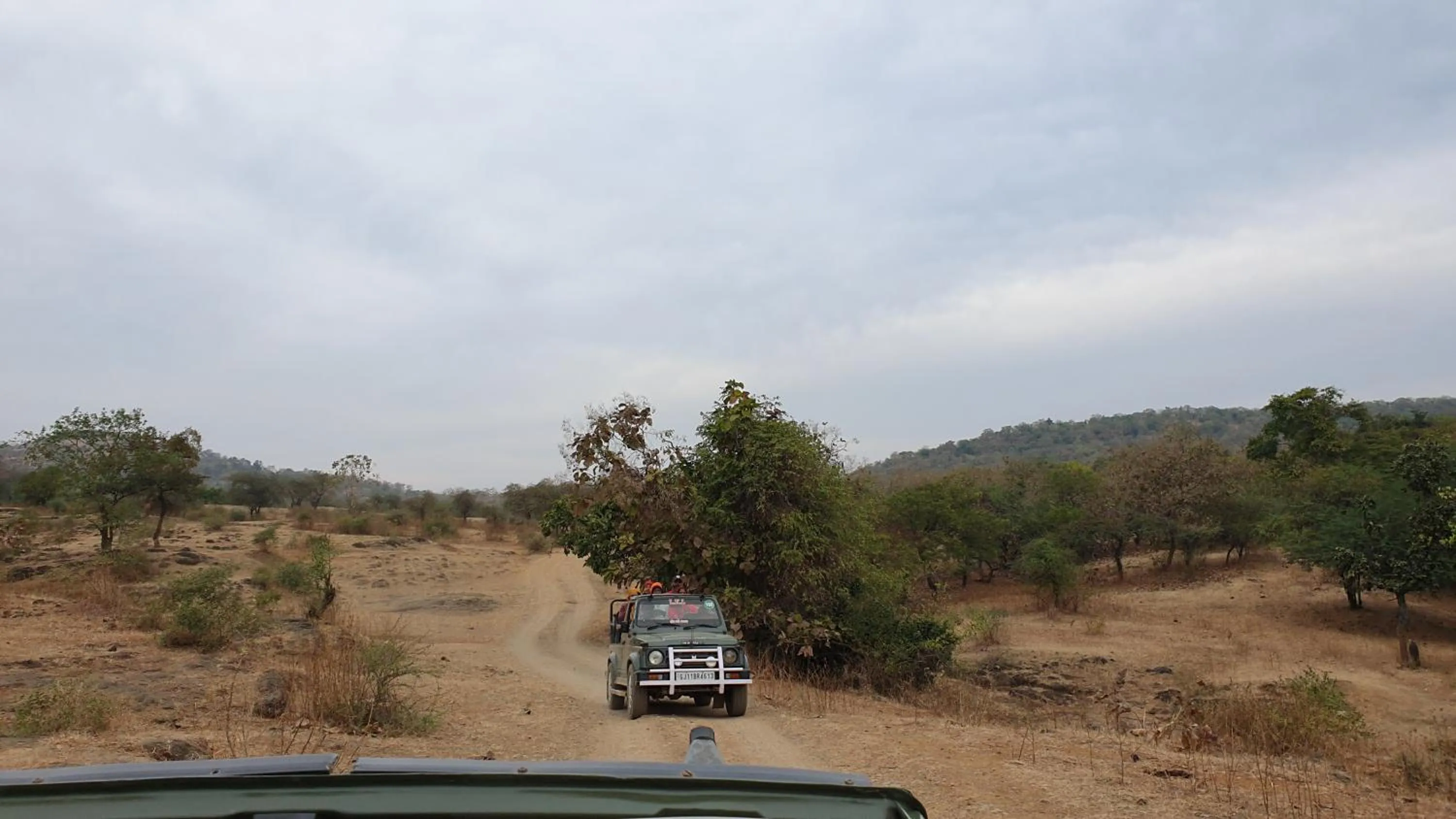 The Wilds Villa Gir Jungle Stay with Swimming Pool