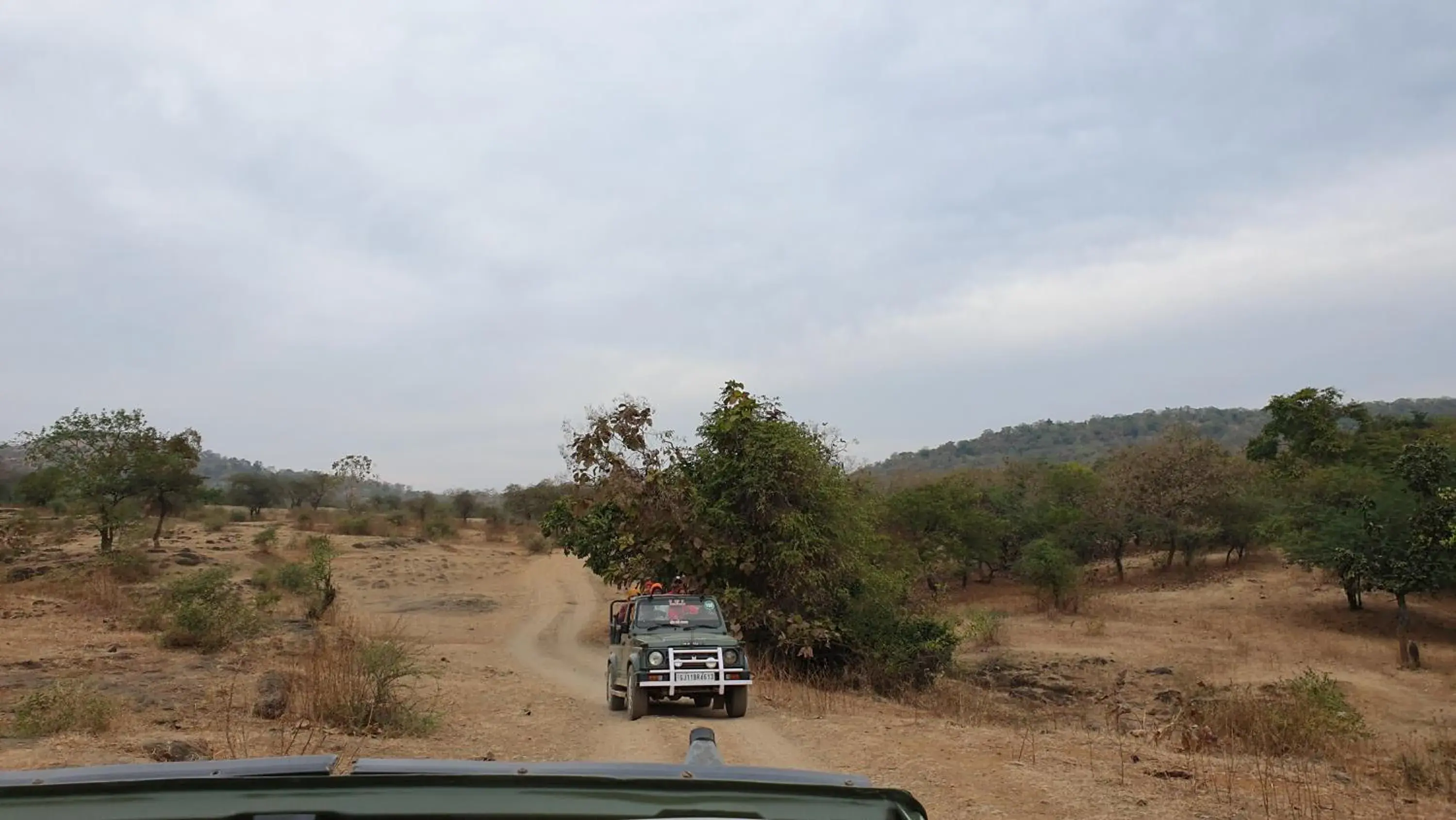 The Wilds Villa Gir Jungle Stay with Swimming Pool The Wilds Villa Gir Jungle Stay with Swimming Pool