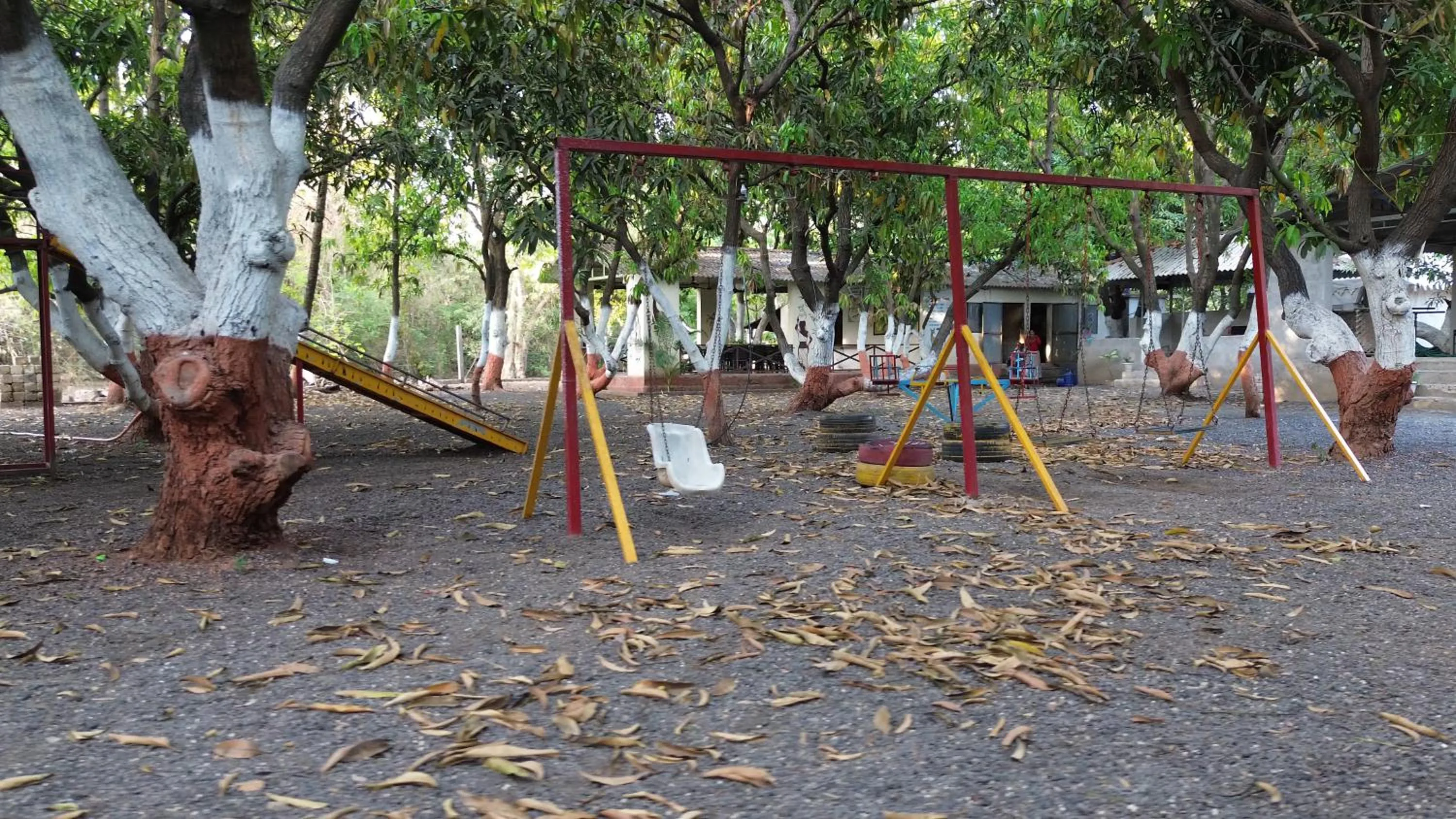 The Wilds Villa Gir Jungle Stay with Swimming Pool