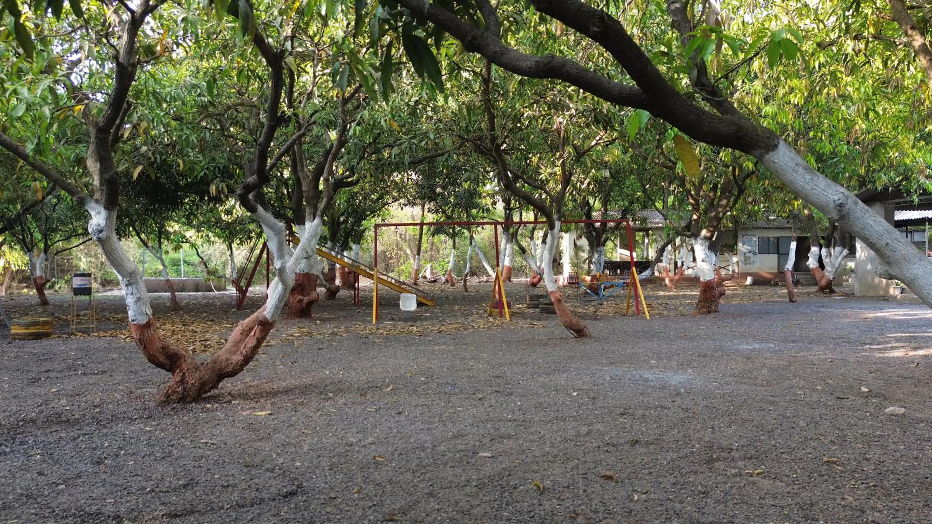 The Wilds Villa Gir Jungle Stay with Swimming Pool