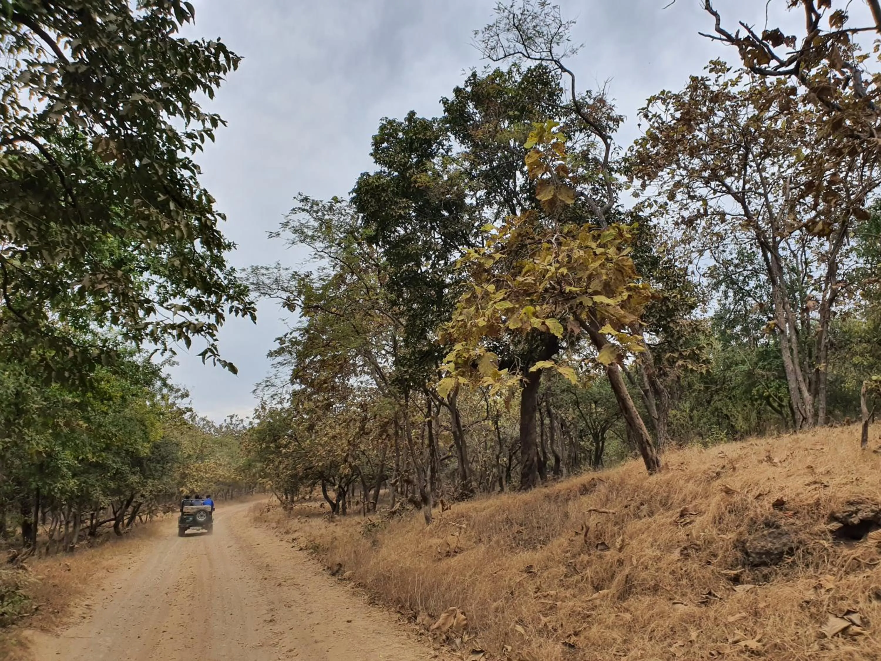 The Wilds Villa Gir Jungle Stay with Swimming Pool