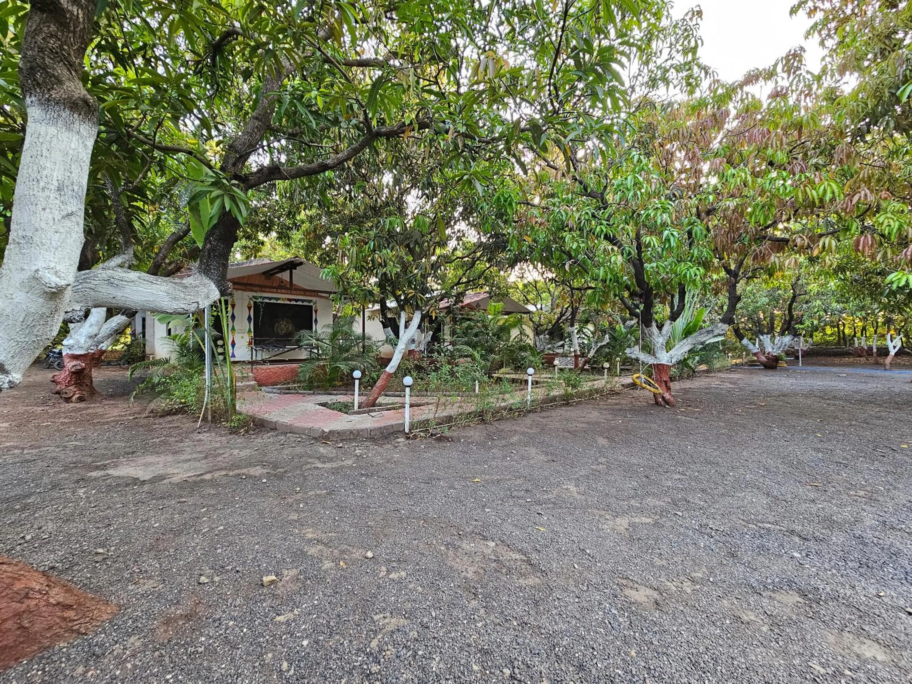 The Wilds Villa Gir Jungle Stay with Swimming Pool