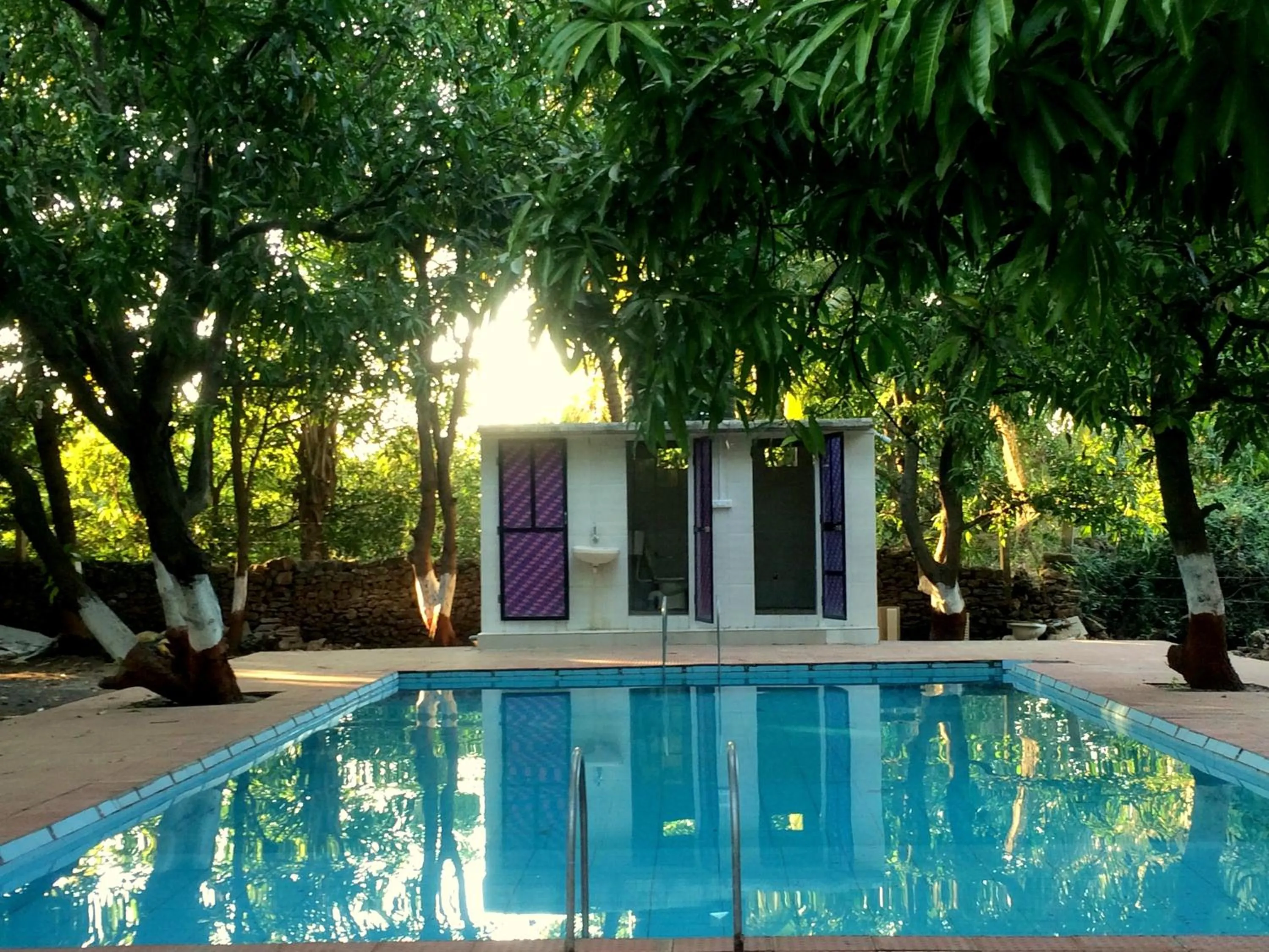 The Wilds Villa Gir Jungle Stay with Swimming Pool
