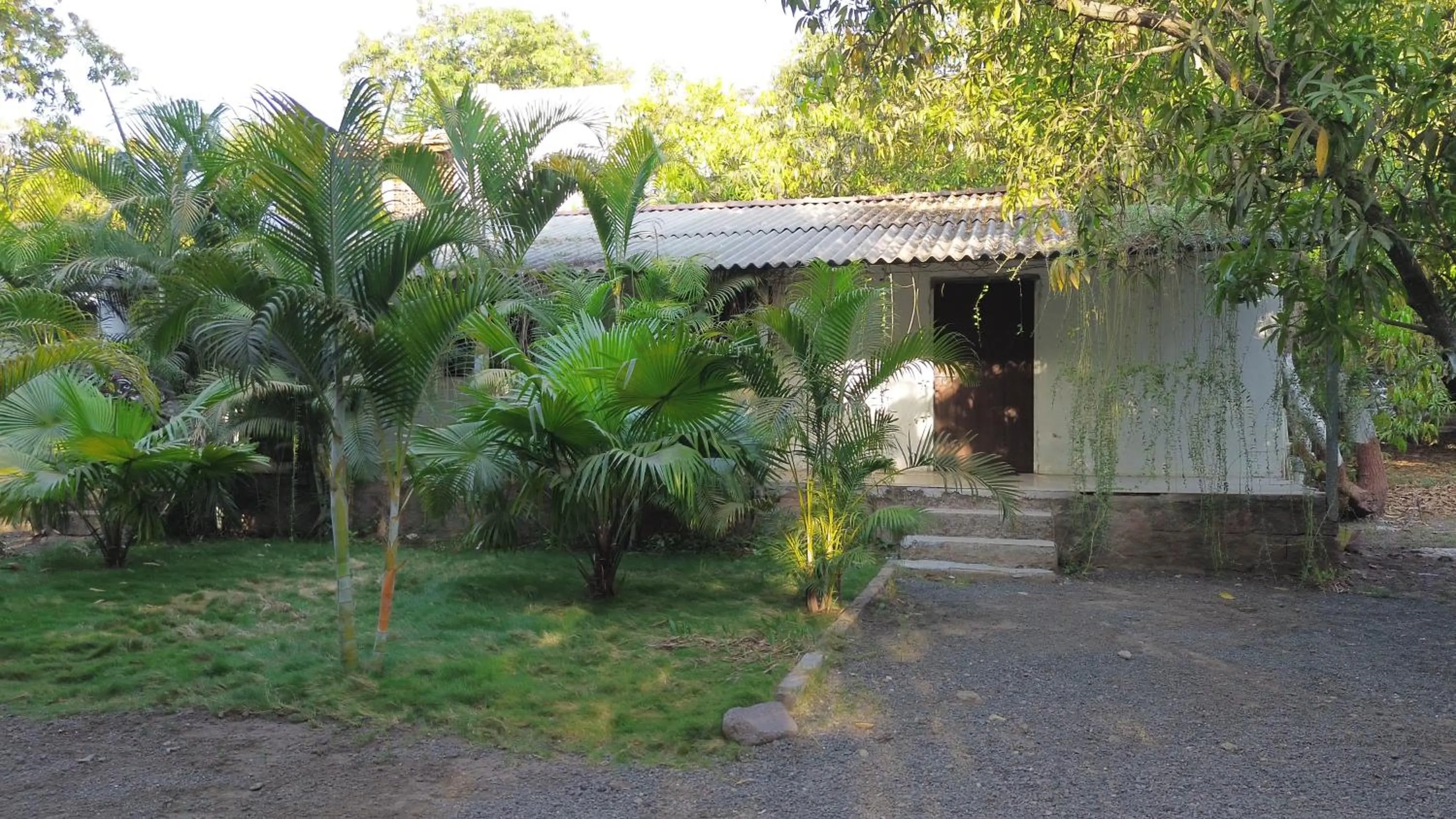 The Wilds Villa Gir Jungle Stay with Swimming Pool