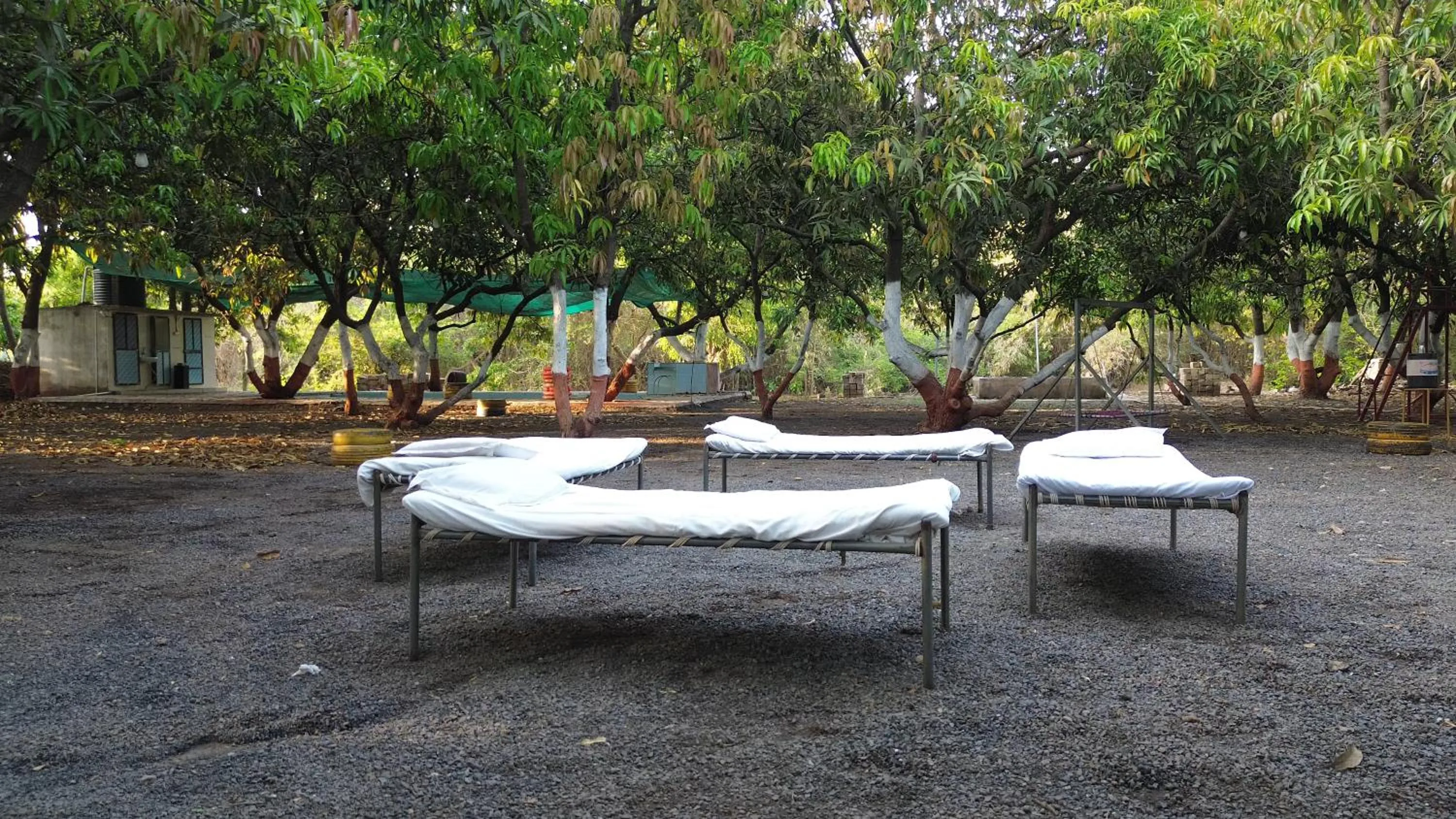 The Wilds Villa Gir Jungle Stay with Swimming Pool