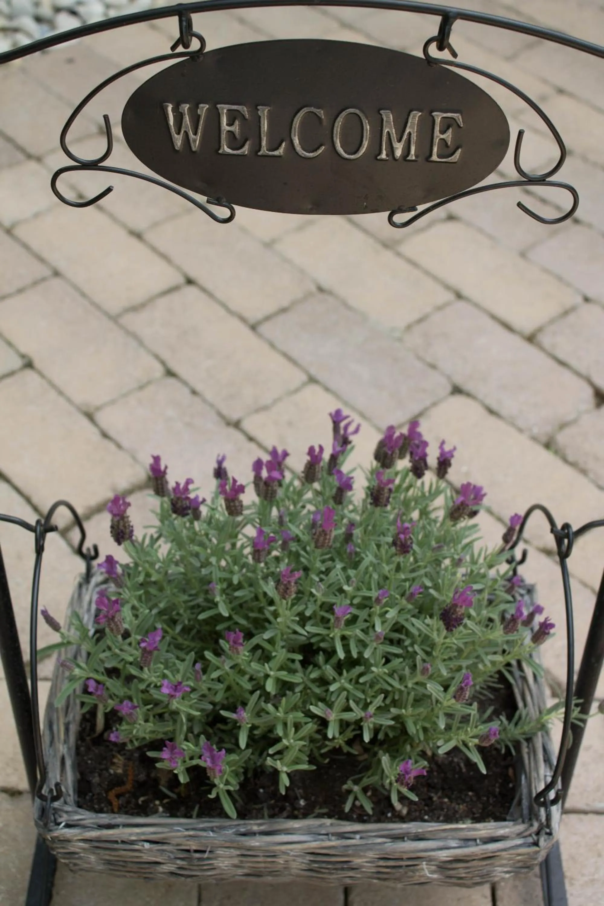 Facade/entrance in Silver Garden