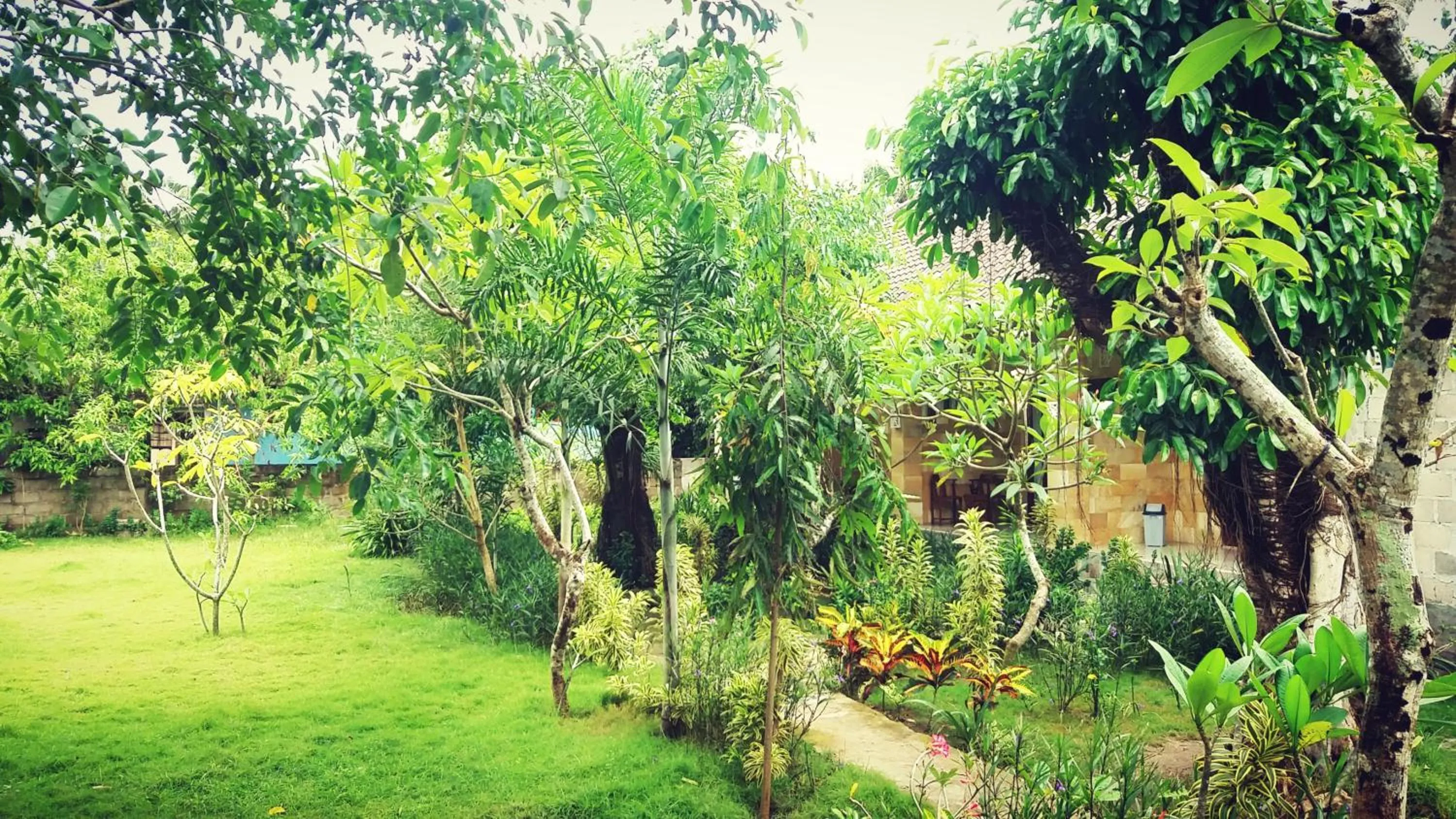 Garden view in Bunutbali Villas88