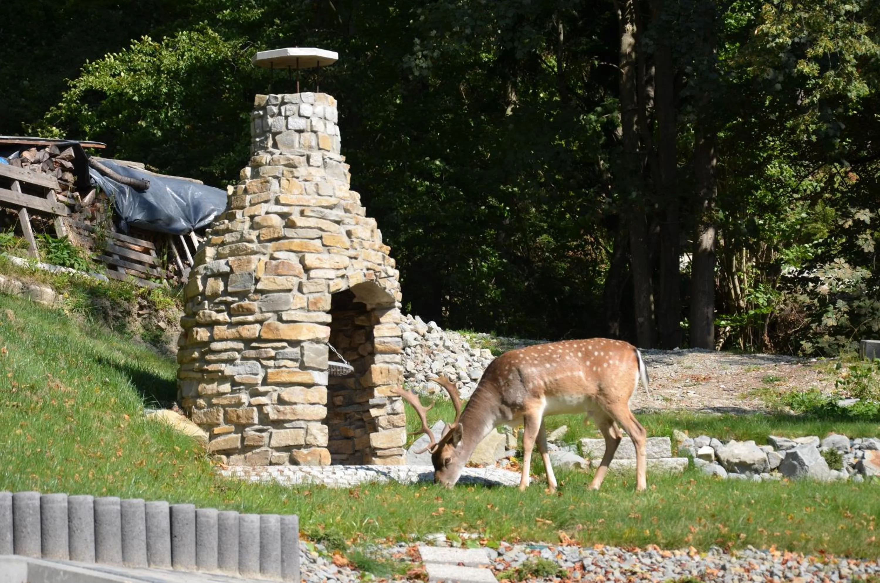 Natural landscape in Leśna Polana- blisko centrum, Mini Spa, cicha, spokojna okolica, parking gratis