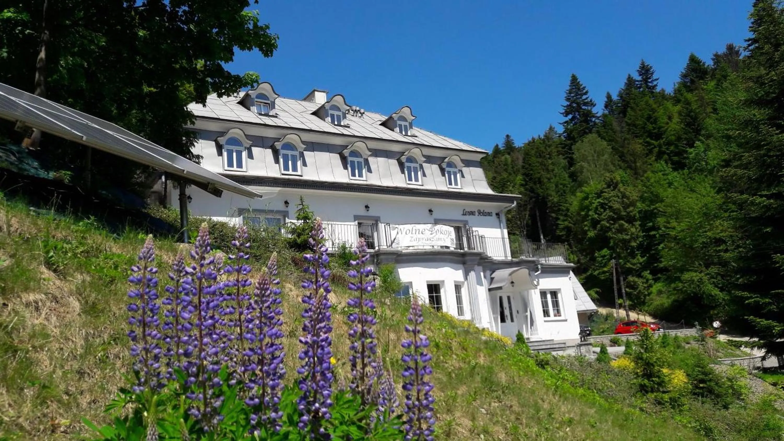 Spring in Leśna Polana- blisko centrum, Mini Spa, cicha, spokojna okolica, parking gratis