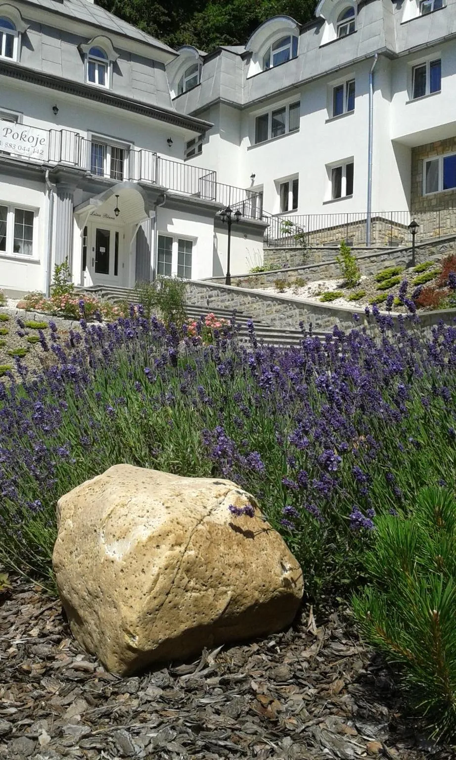 Facade/entrance in Leśna Polana- blisko centrum, Mini Spa, cicha, spokojna okolica, parking gratis