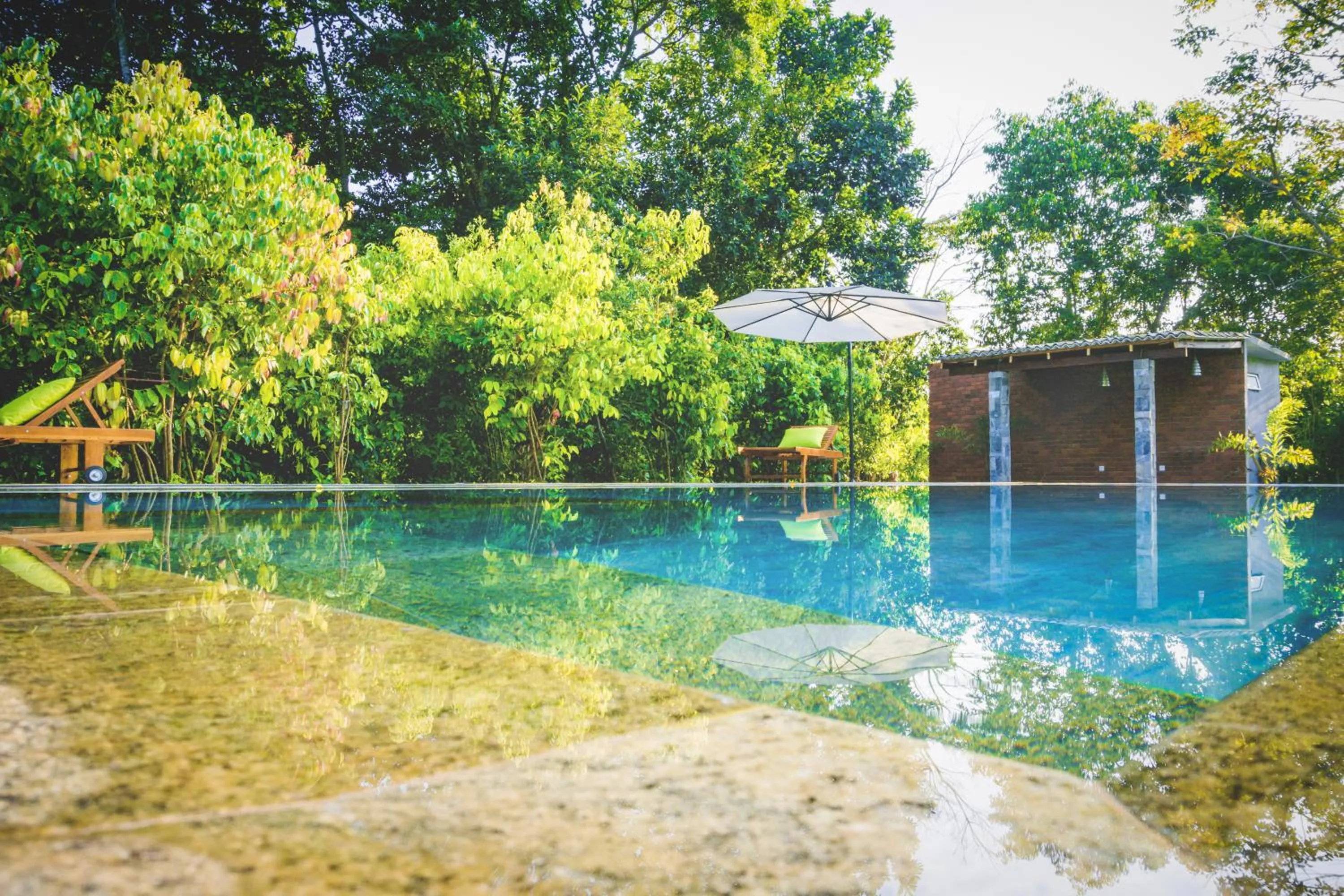Natural landscape in Garcinia Leaf