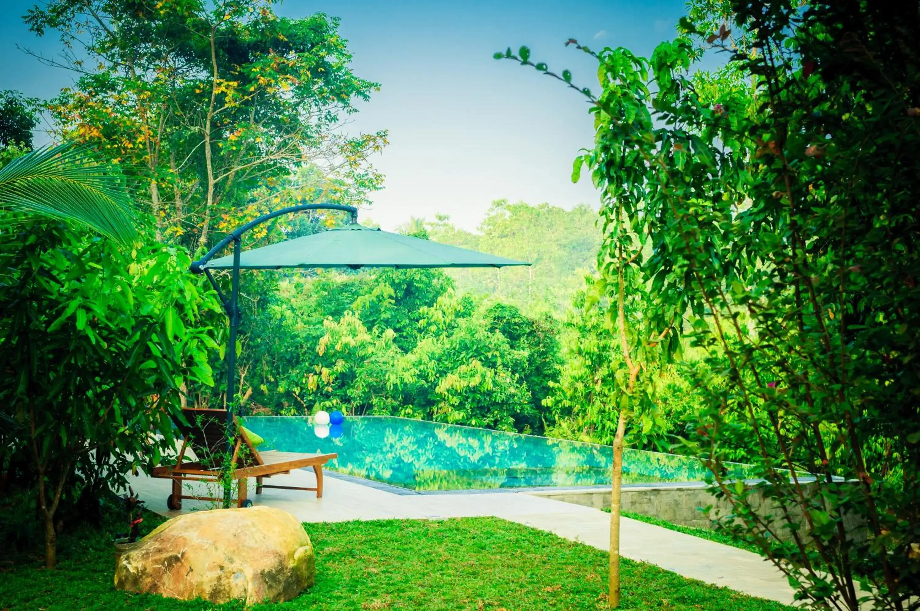 Bird's eye view in Garcinia Leaf Bird's eye view in Garcinia Leaf