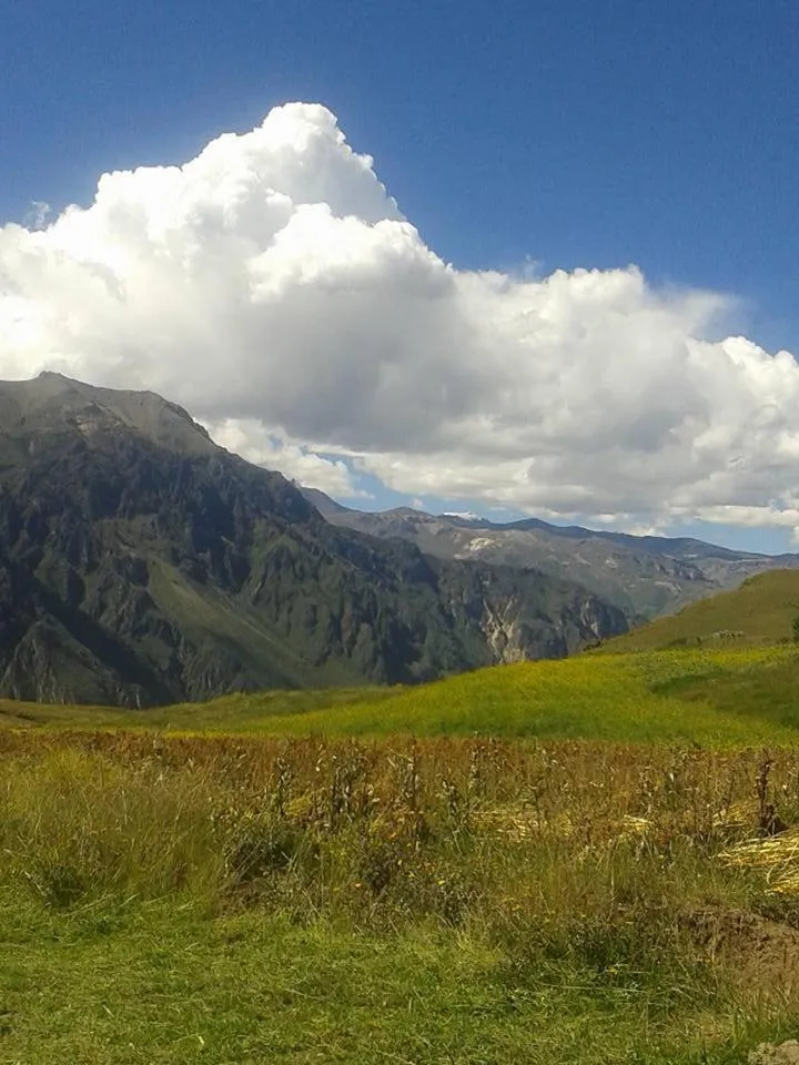 Property building in Arum Qurpawasi Hospedaje