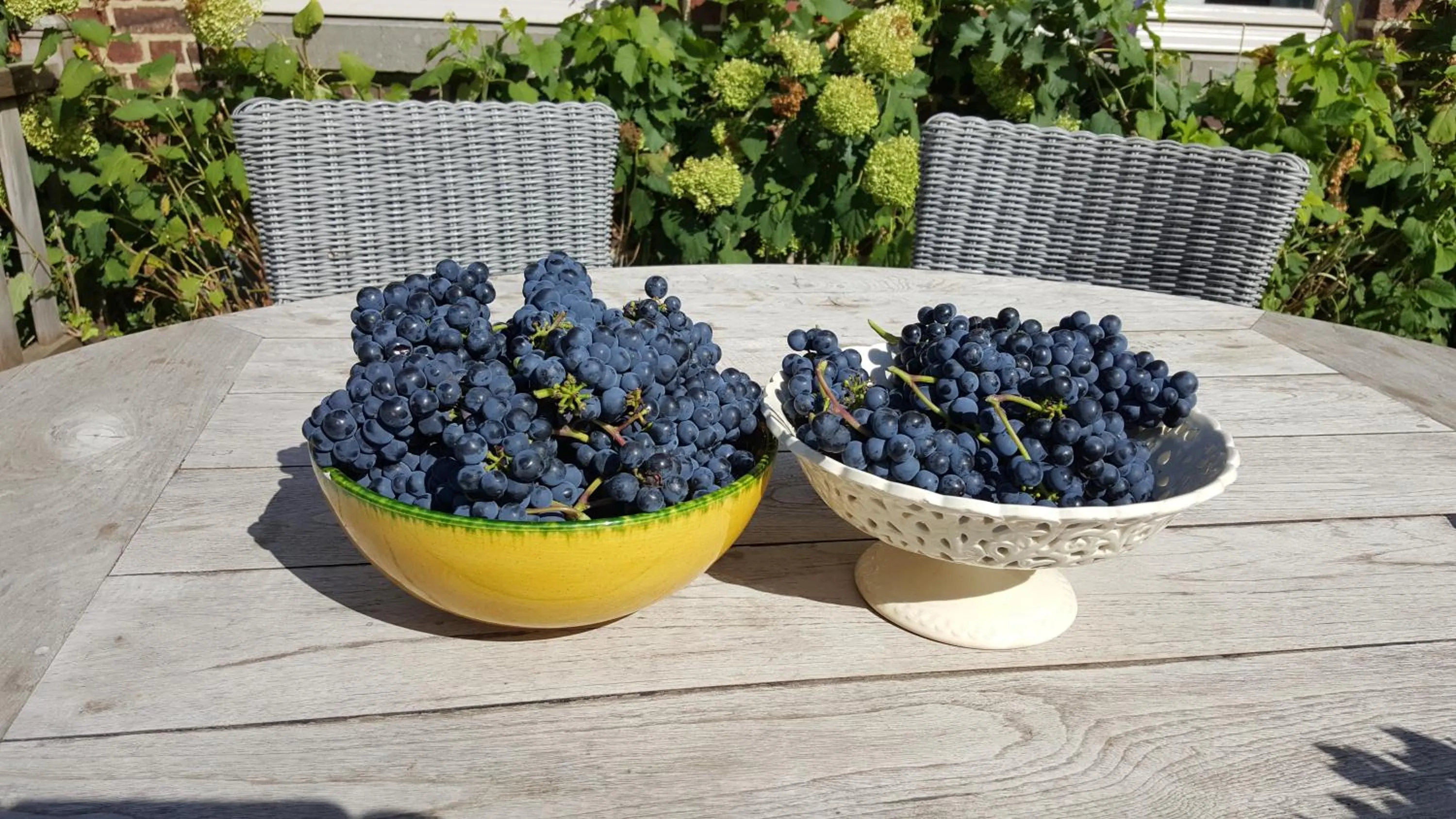 Balcony/Terrace in Guesthouse Biolleke