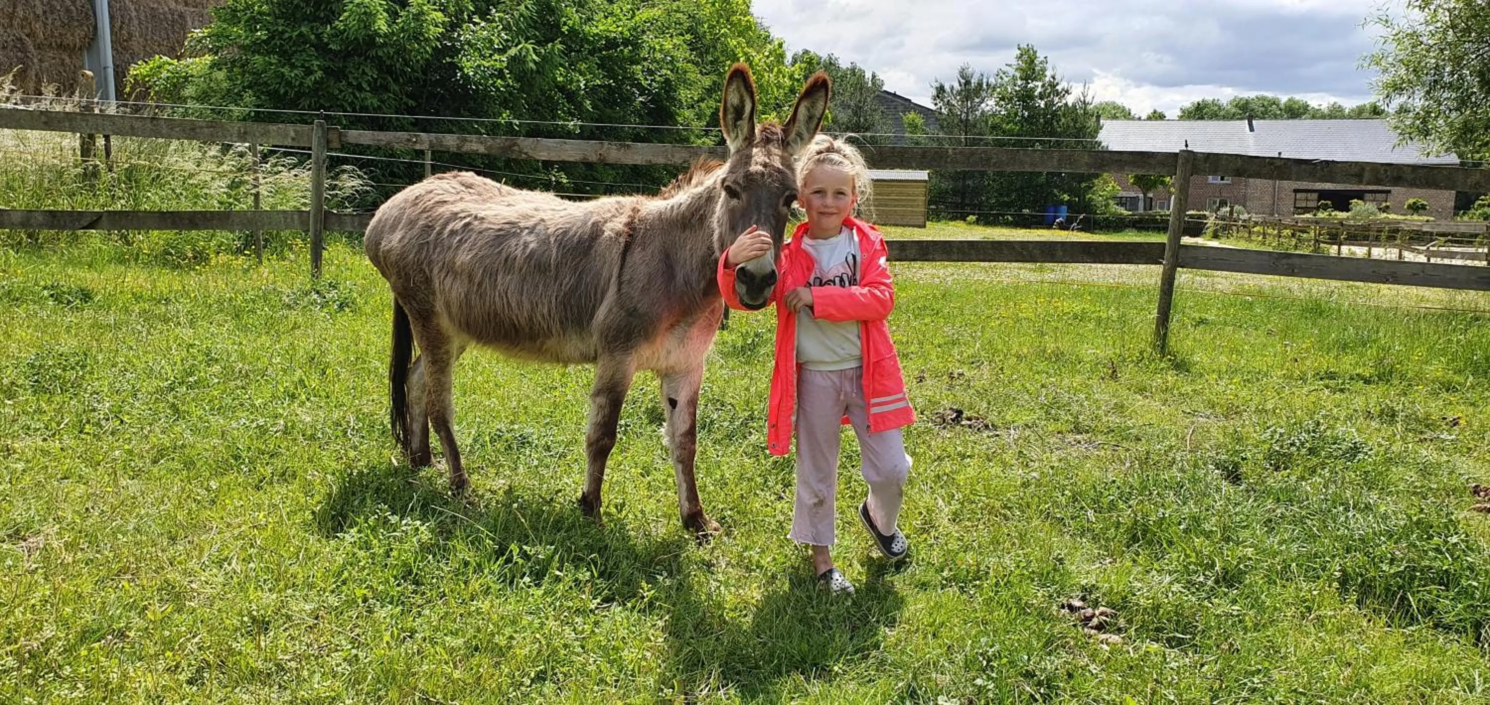 Animals in Guesthouse Biolleke