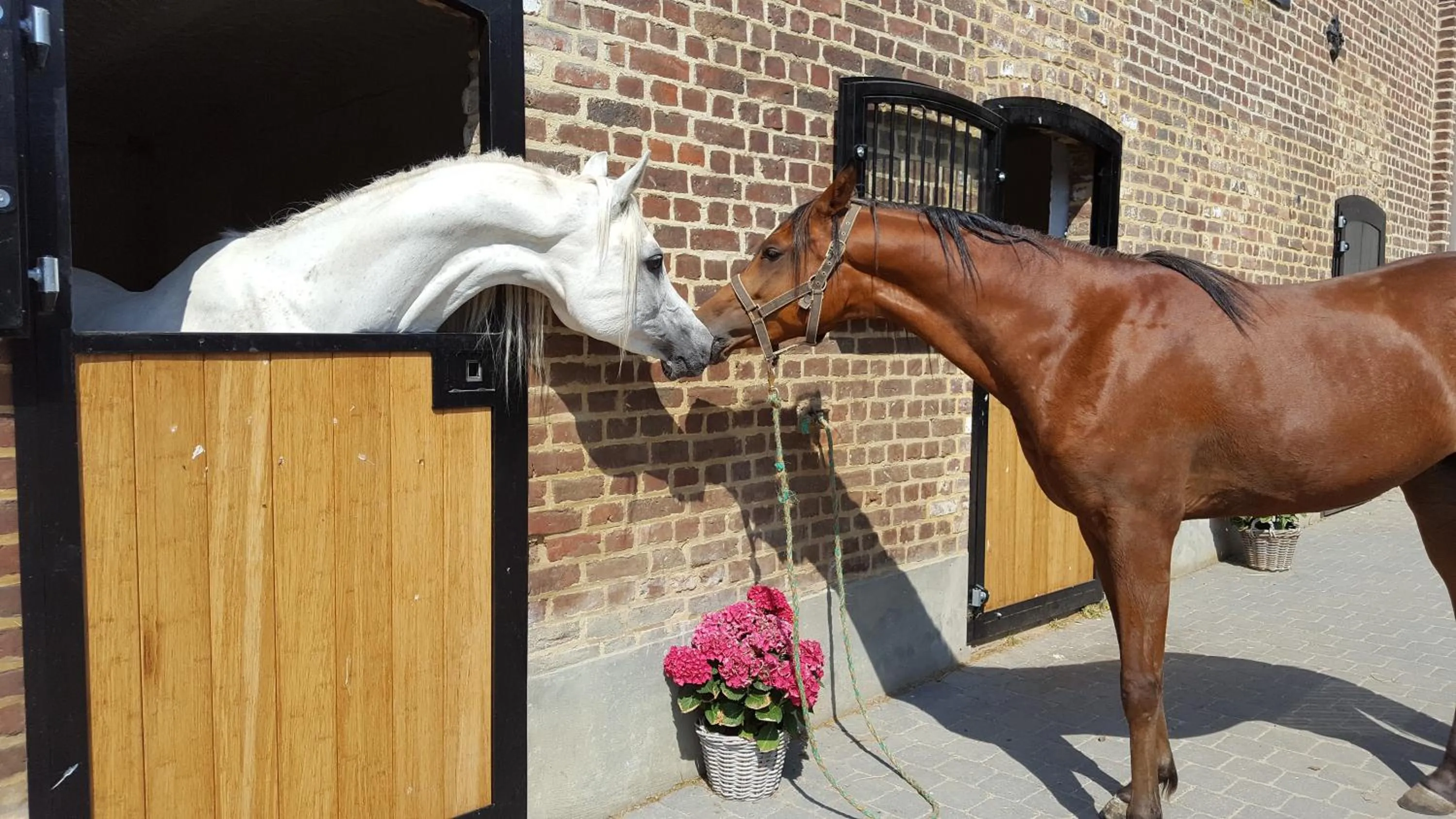 Summer in Guesthouse Biolleke