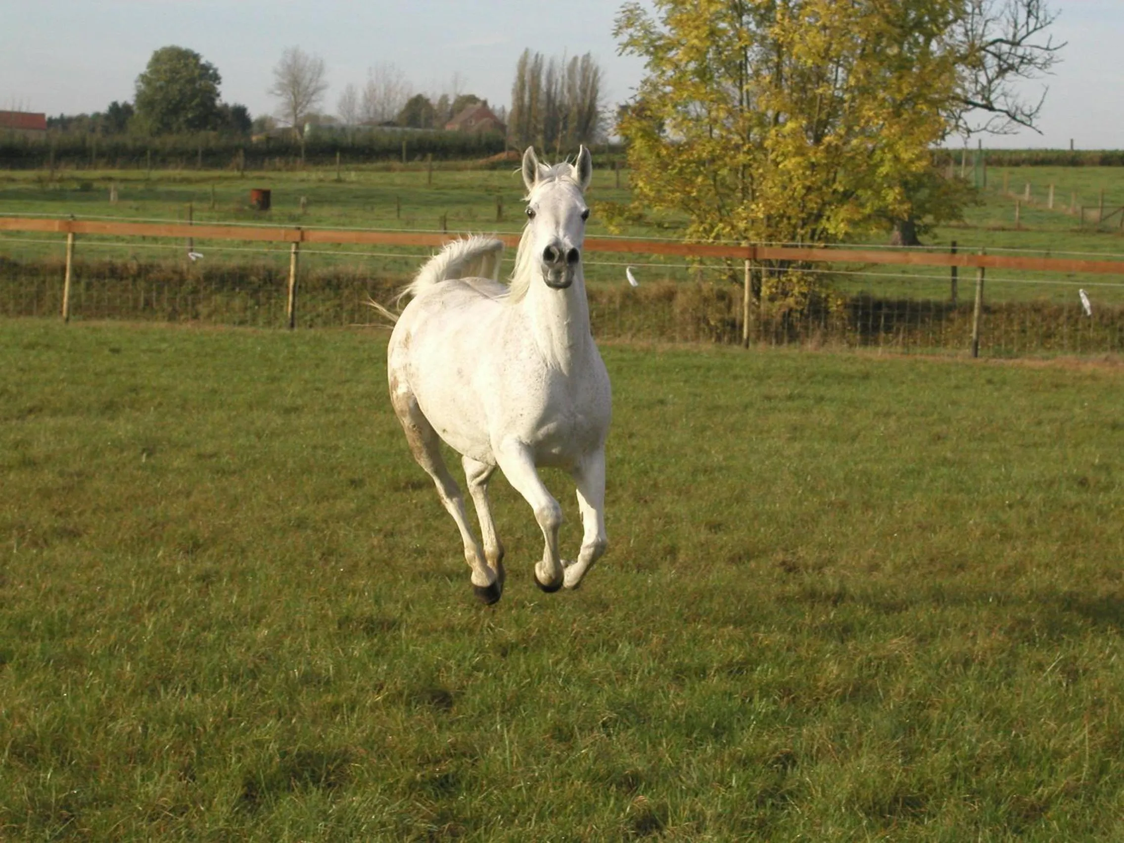 Spring in Guesthouse Biolleke