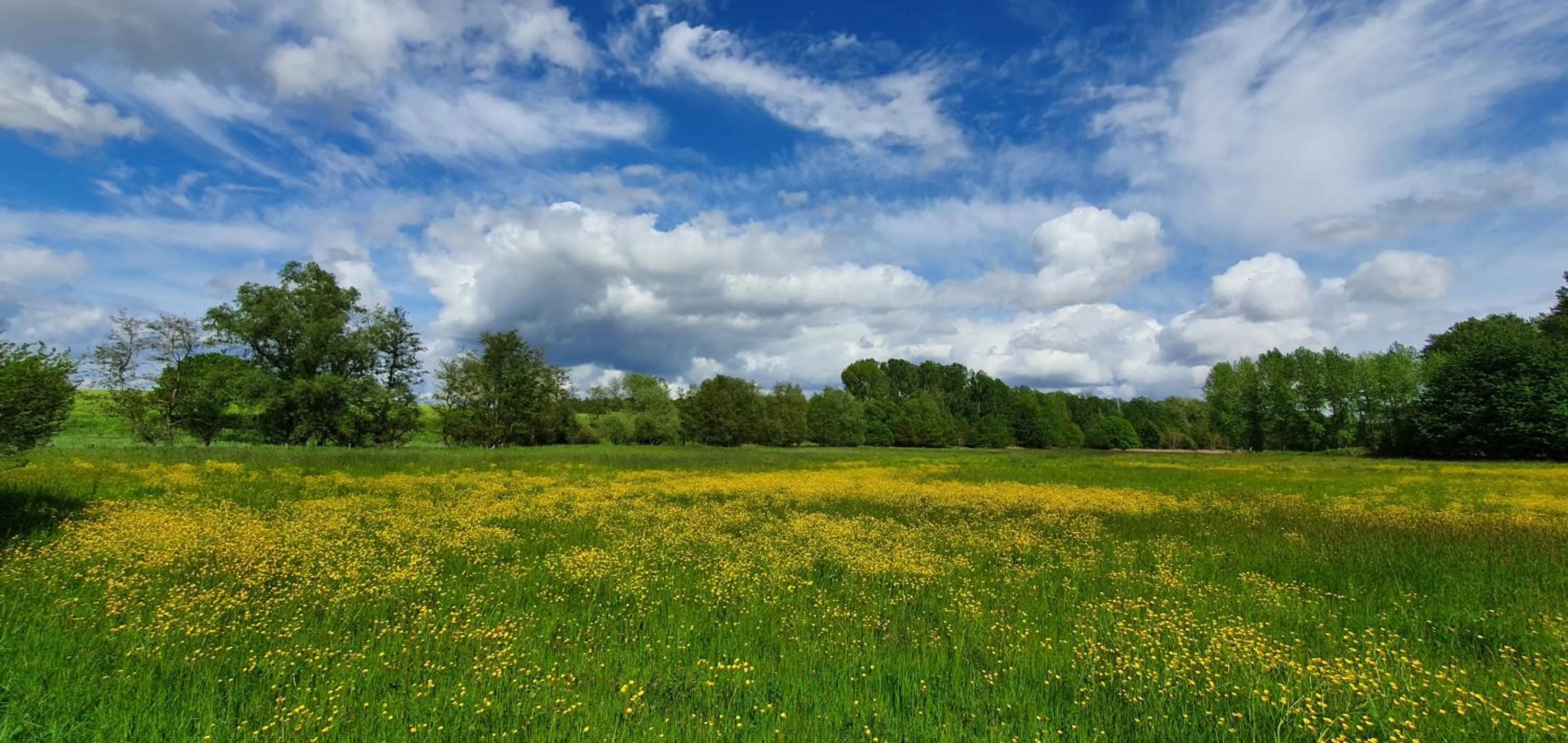 Day in Guesthouse Biolleke