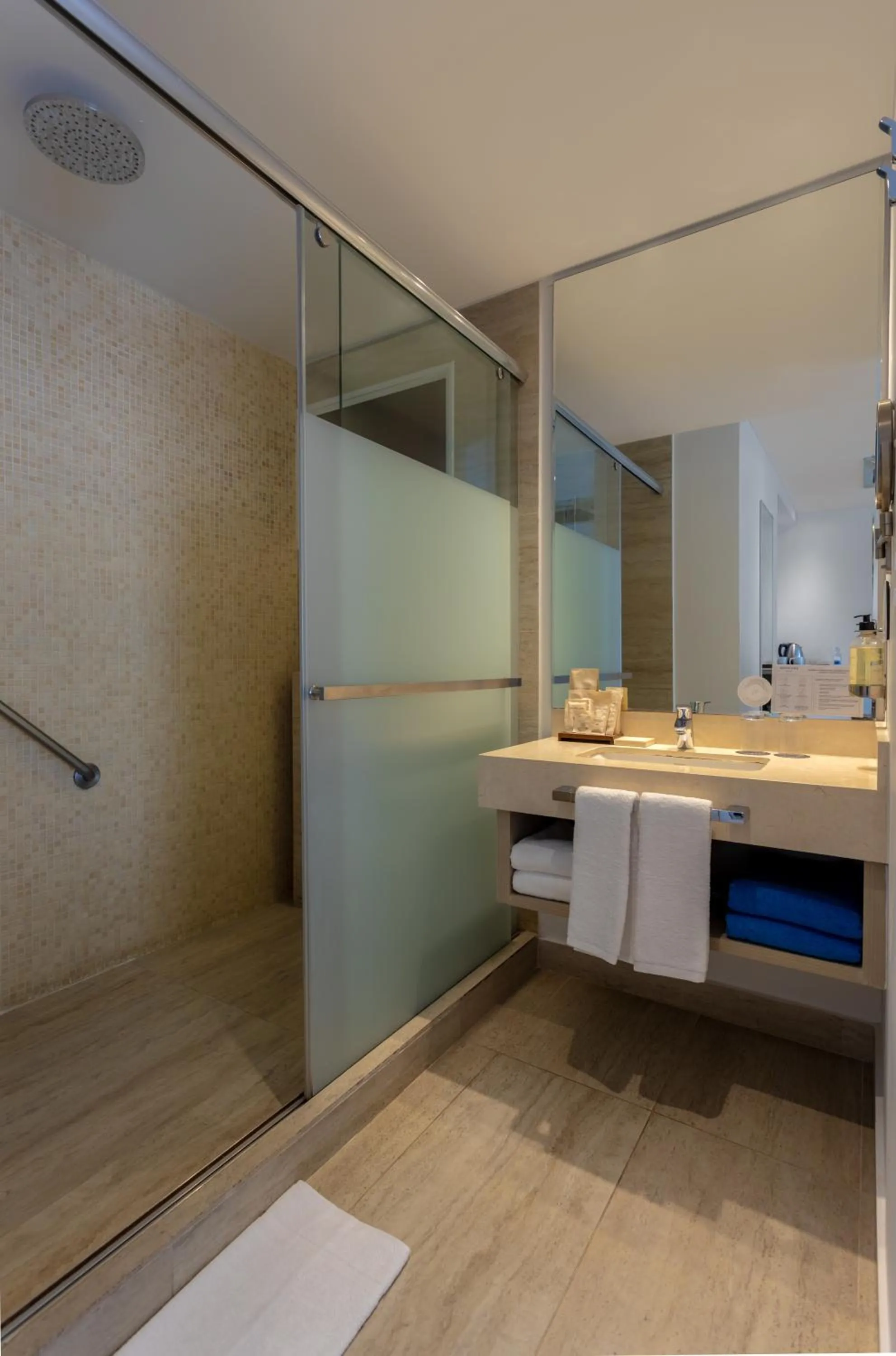 Toilet in Mercure Santa Marta Emile