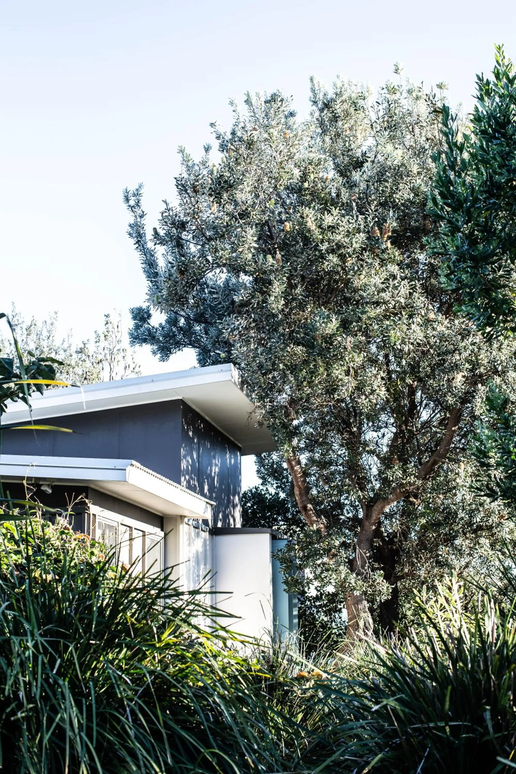 Property building in Elements Of Byron