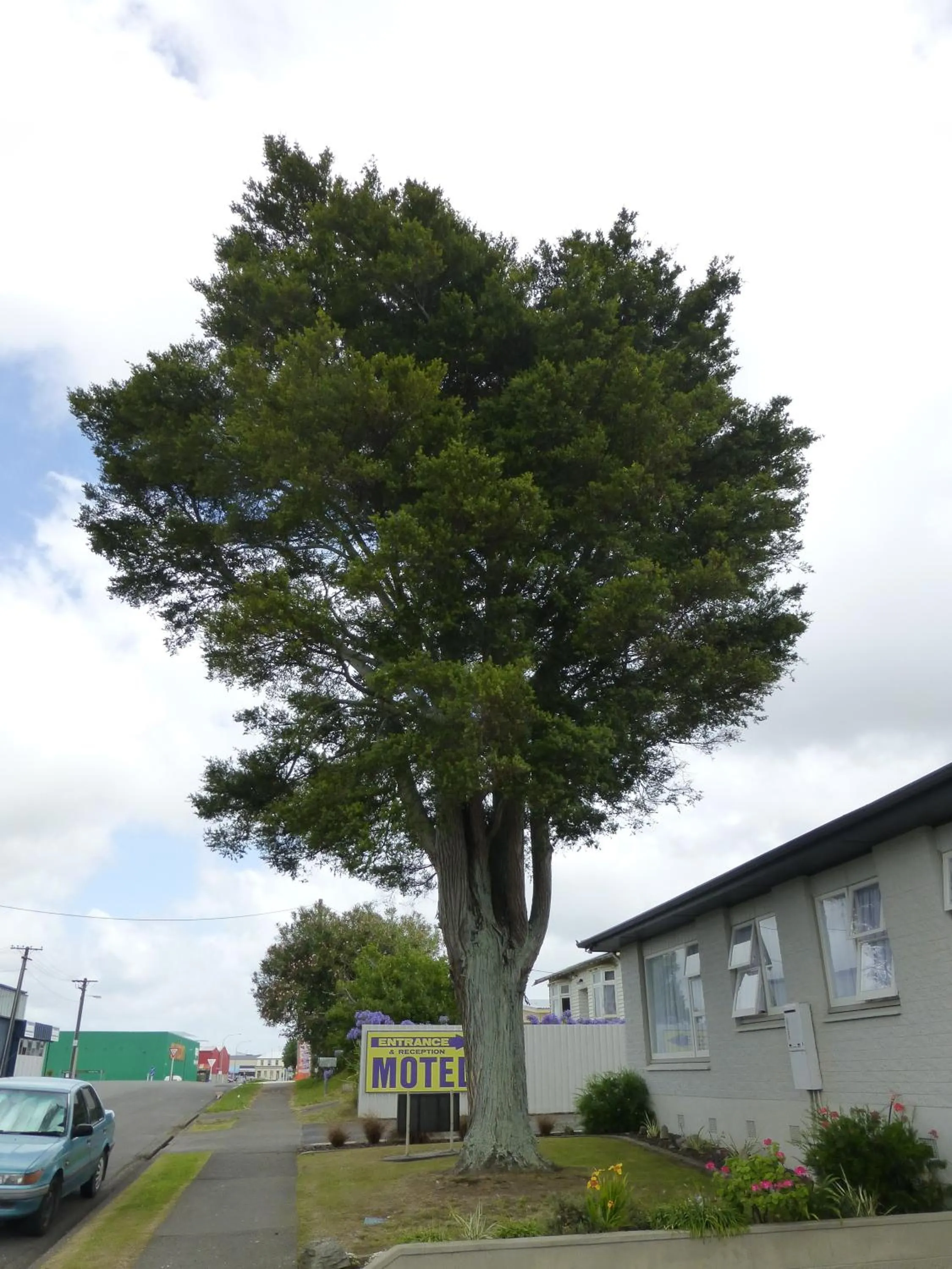 Facade/entrance in Totara Lodge Motel