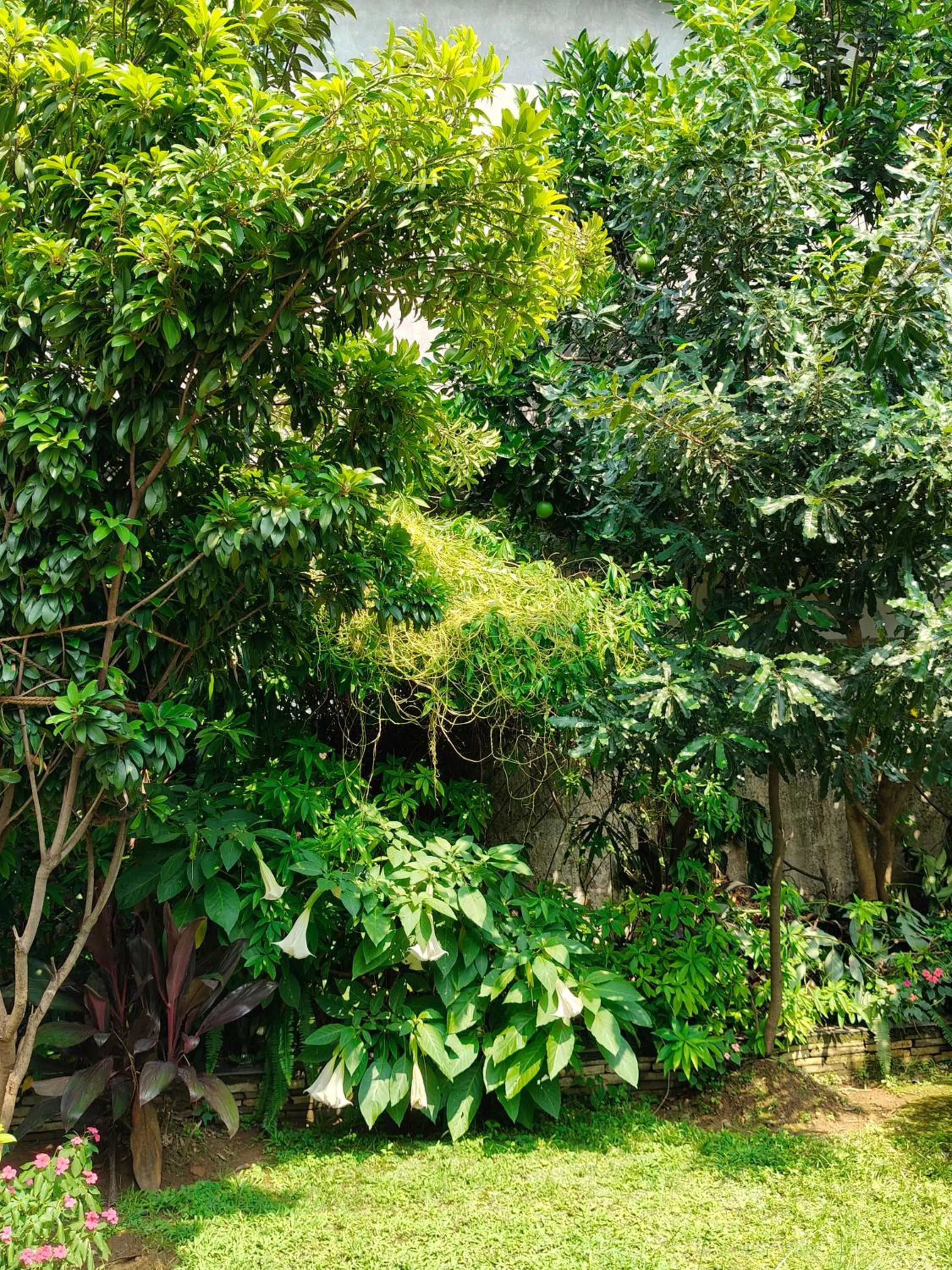 Hotel Bishram