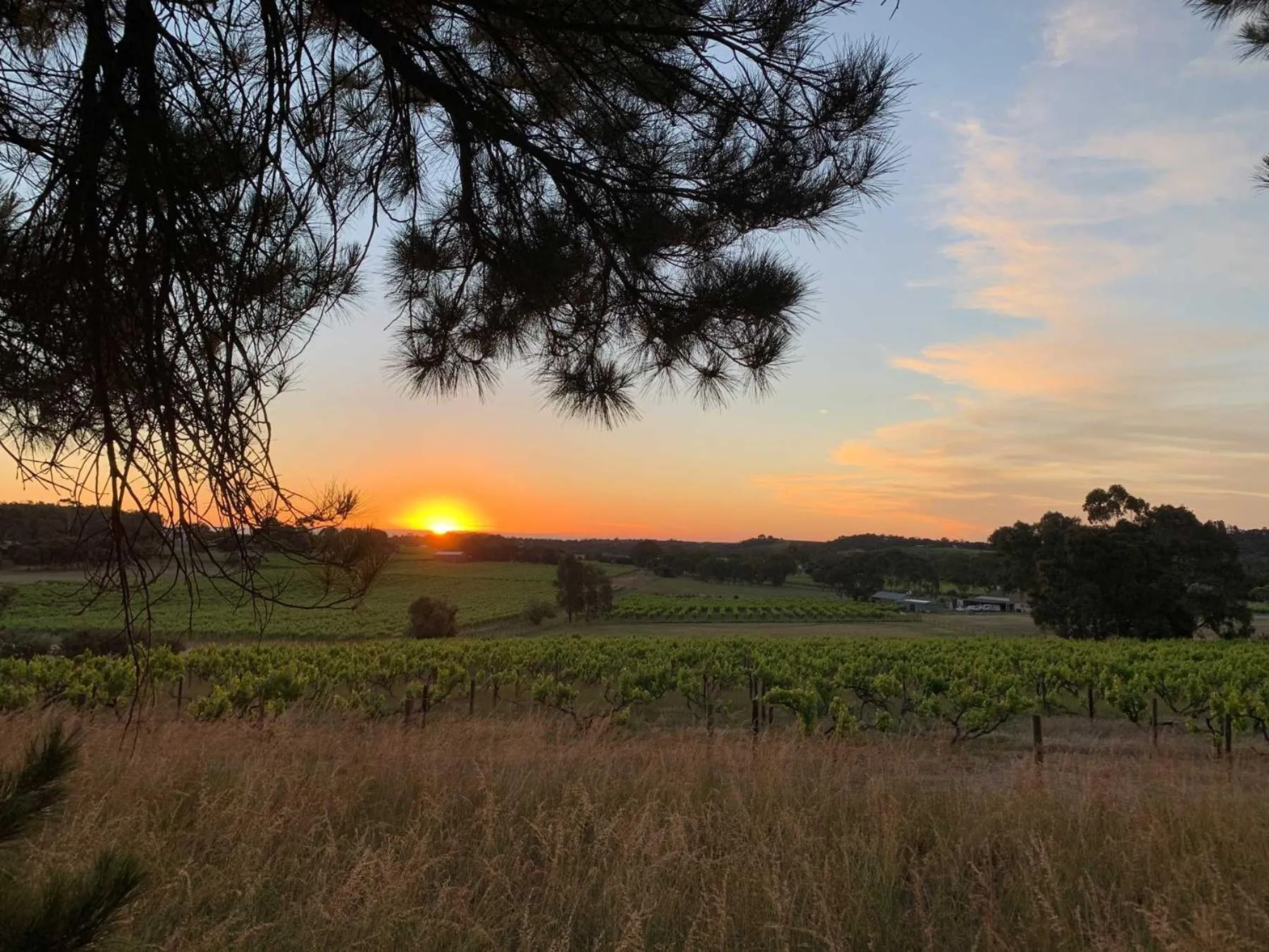 View (from property/room) in Bella Cosa