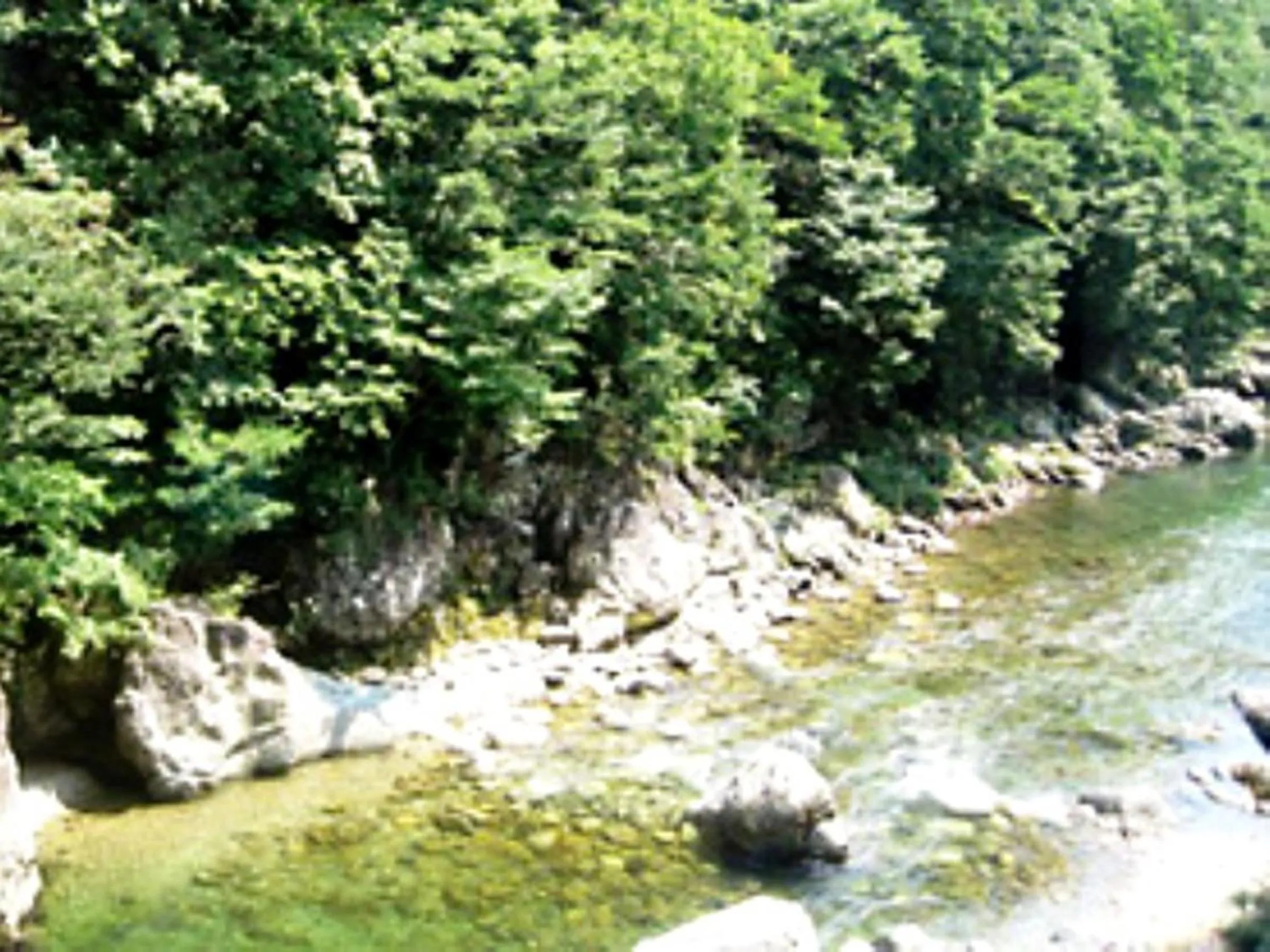 Natural landscape in Minakami Hotel Juraku