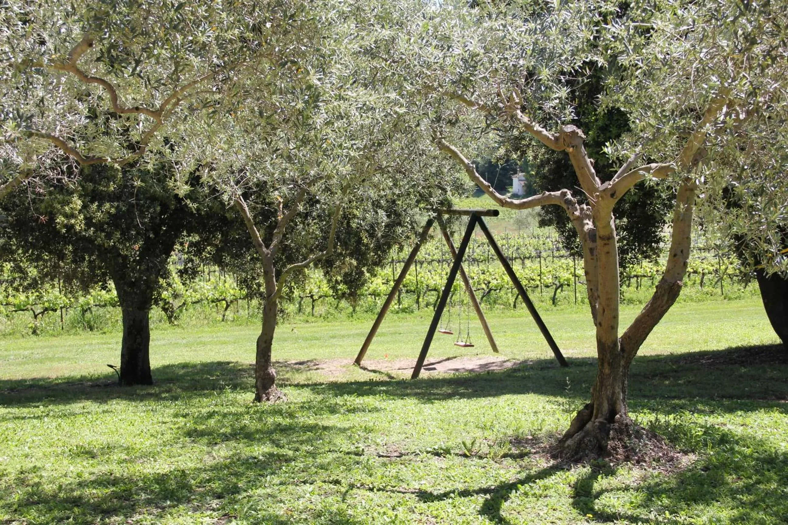 Garden in Clos Saint-Michel Resort & Spa