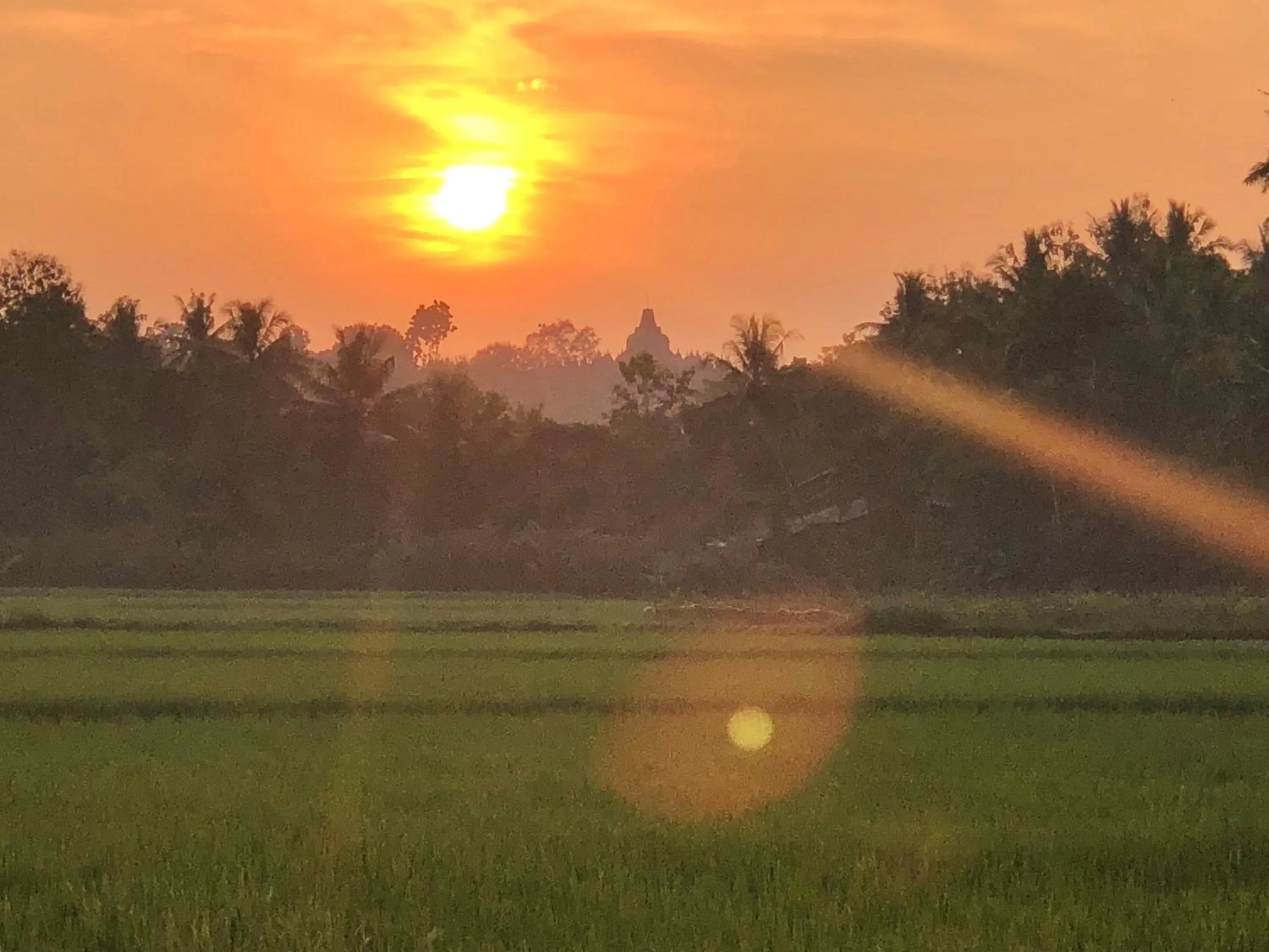 Activities in Rumah Dharma