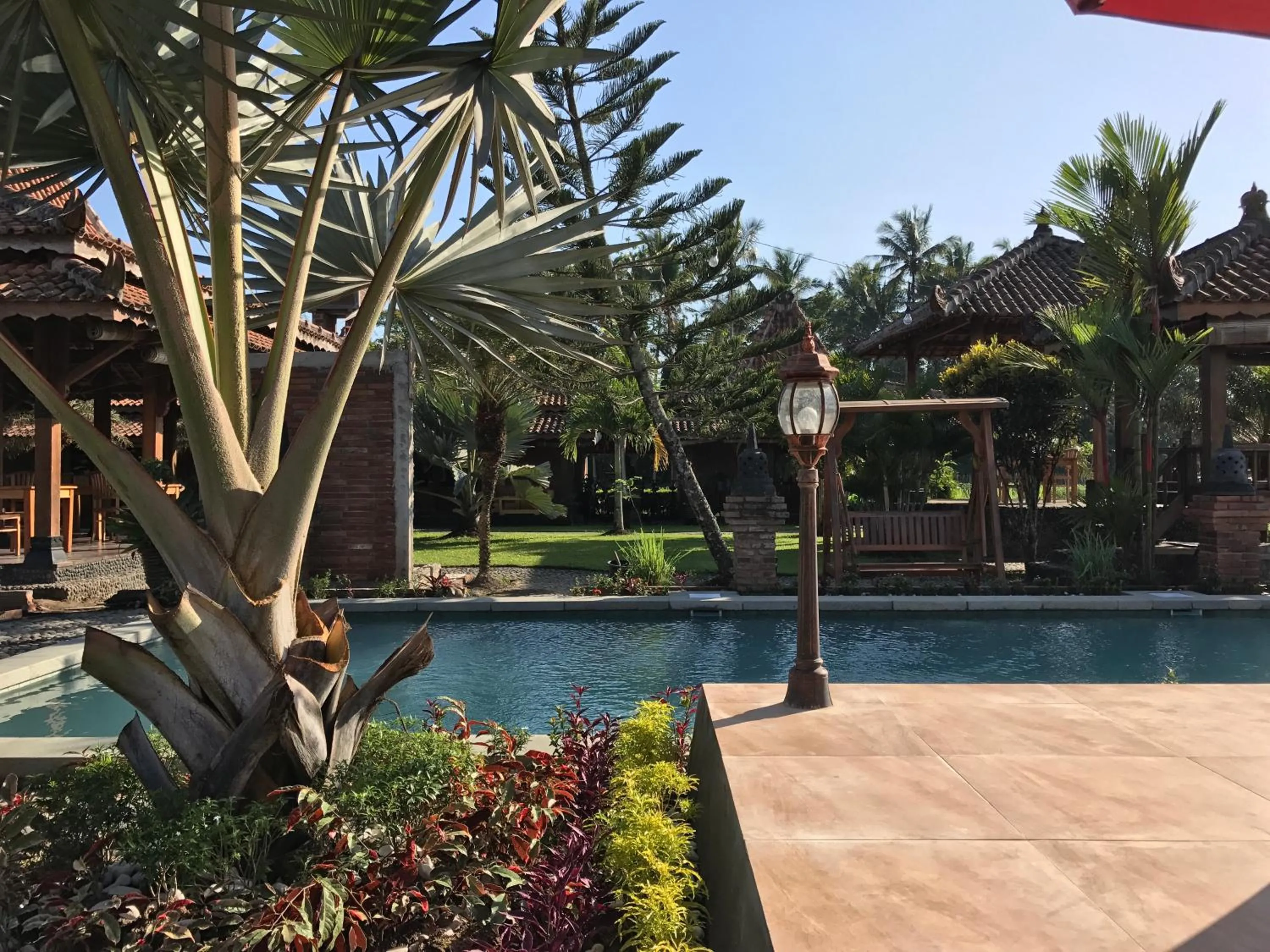 Pool view in Rumah Dharma