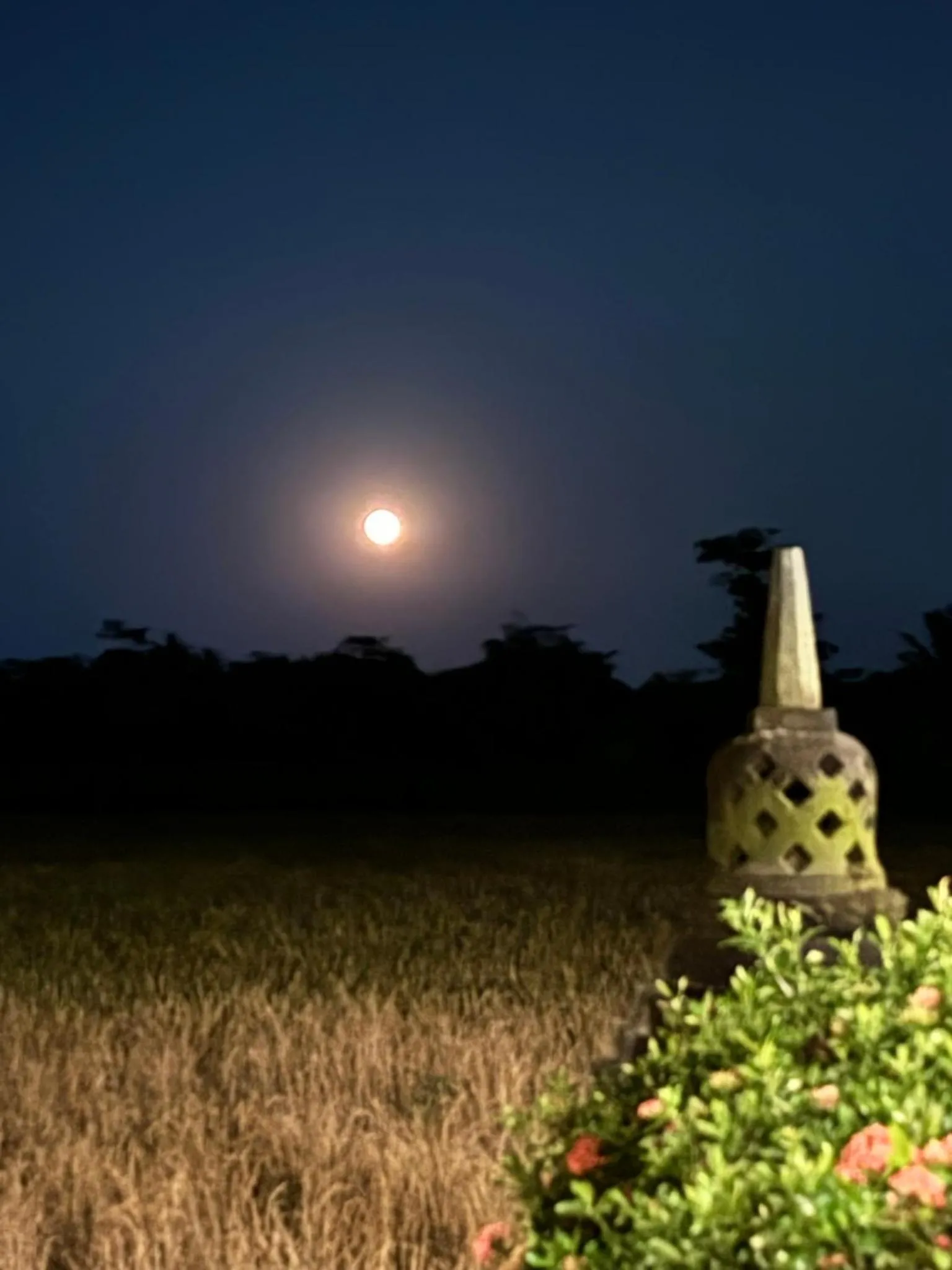 Rumah Dharma