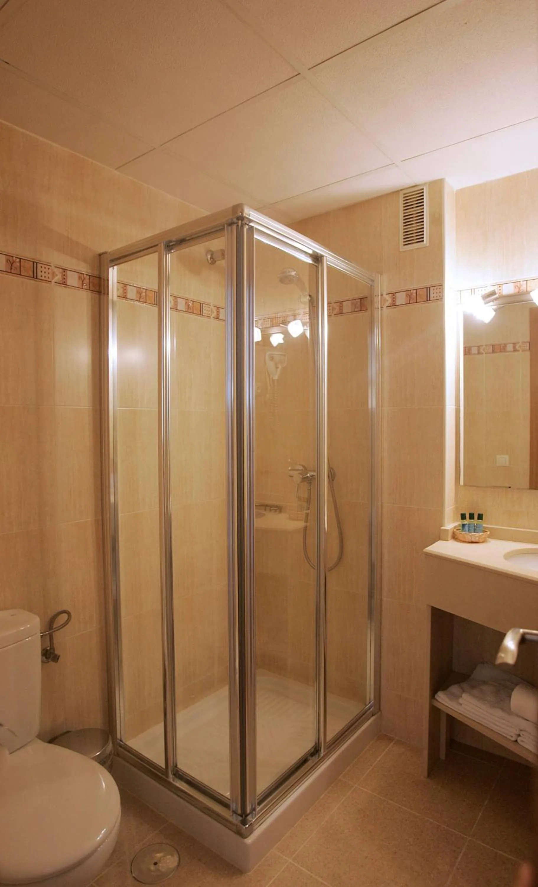 Toilet in Hotel Goartín