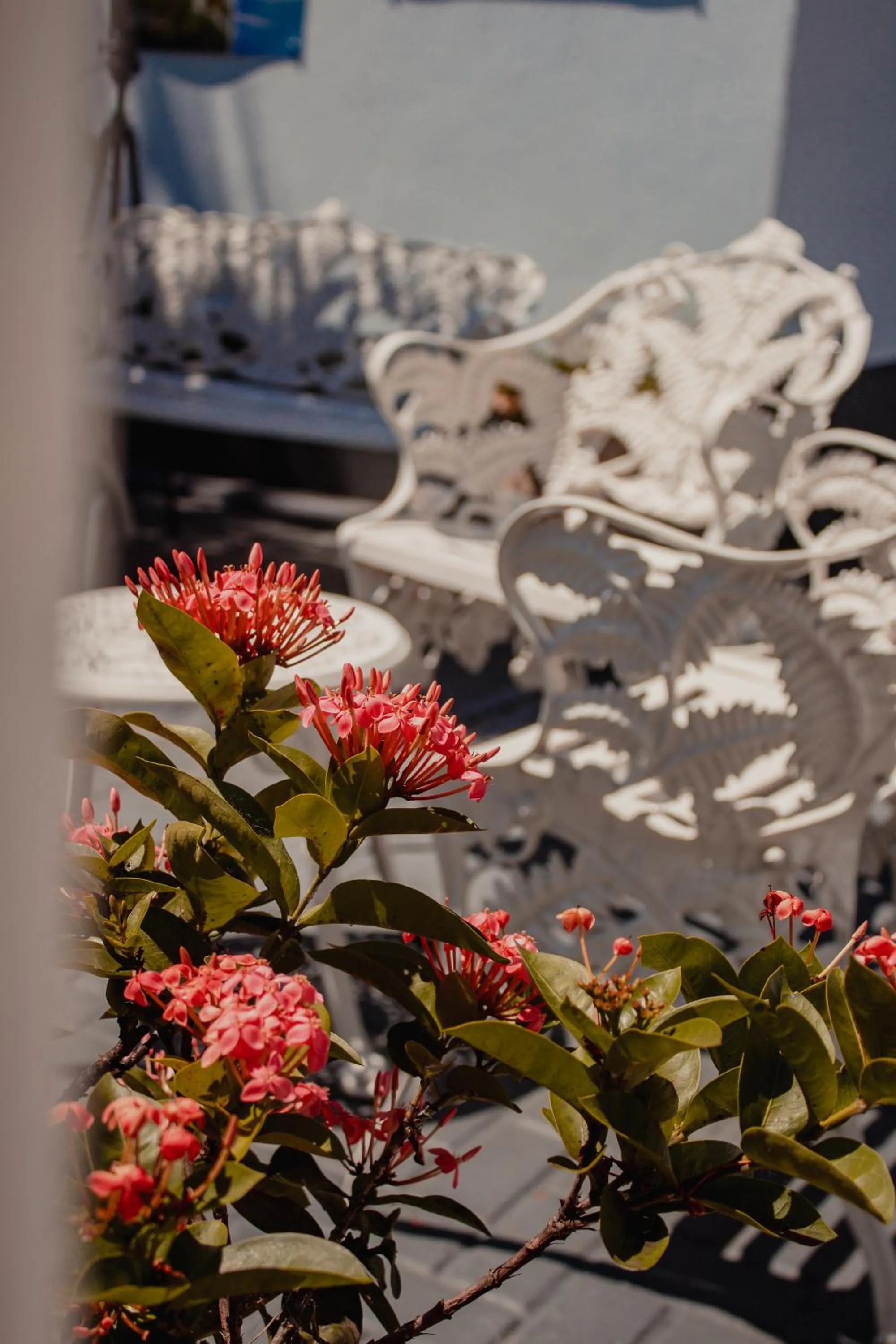 Garden in Pousada Iguassu Charm Suites