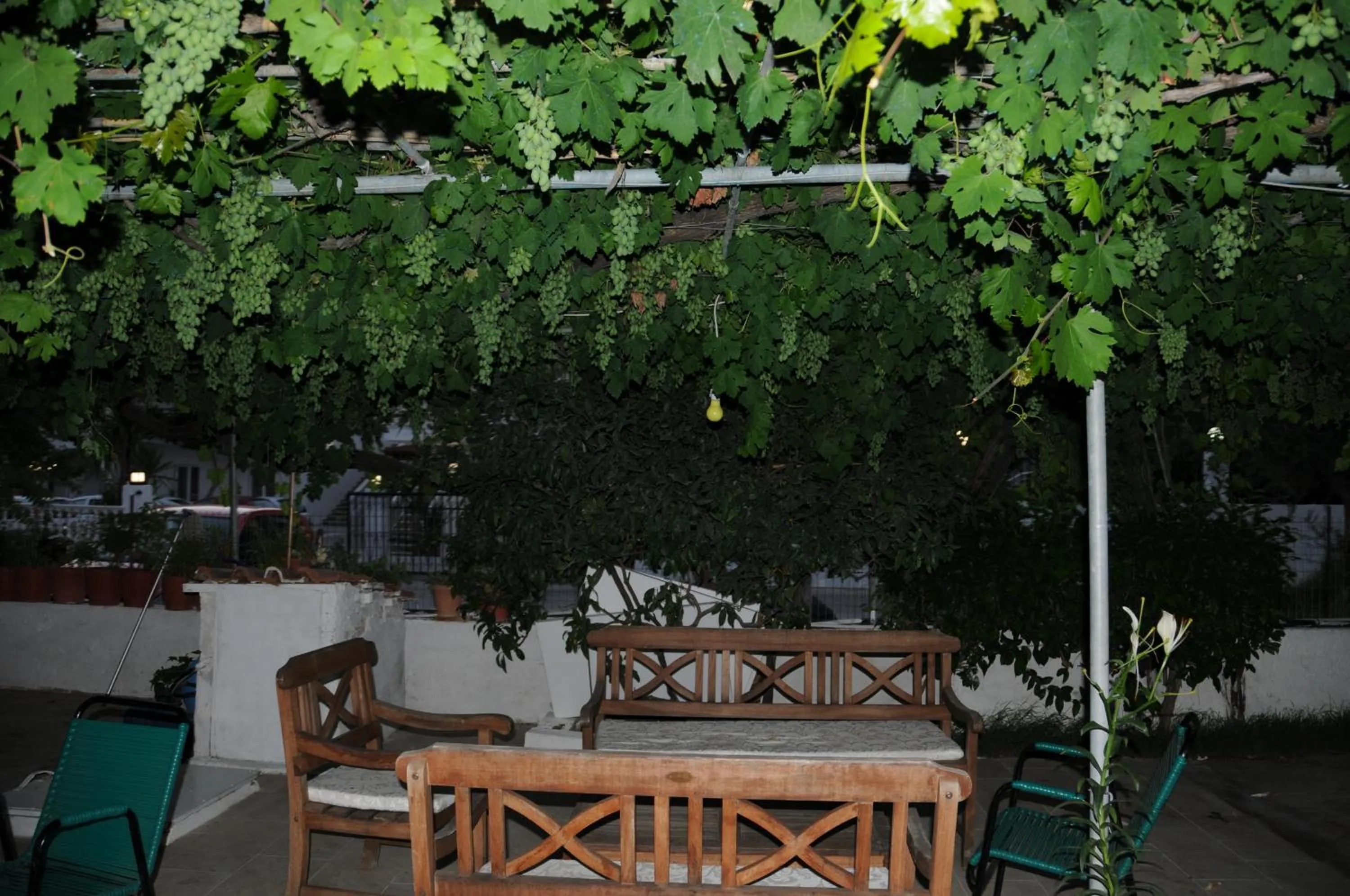Area and facilities in Vicky's Garden