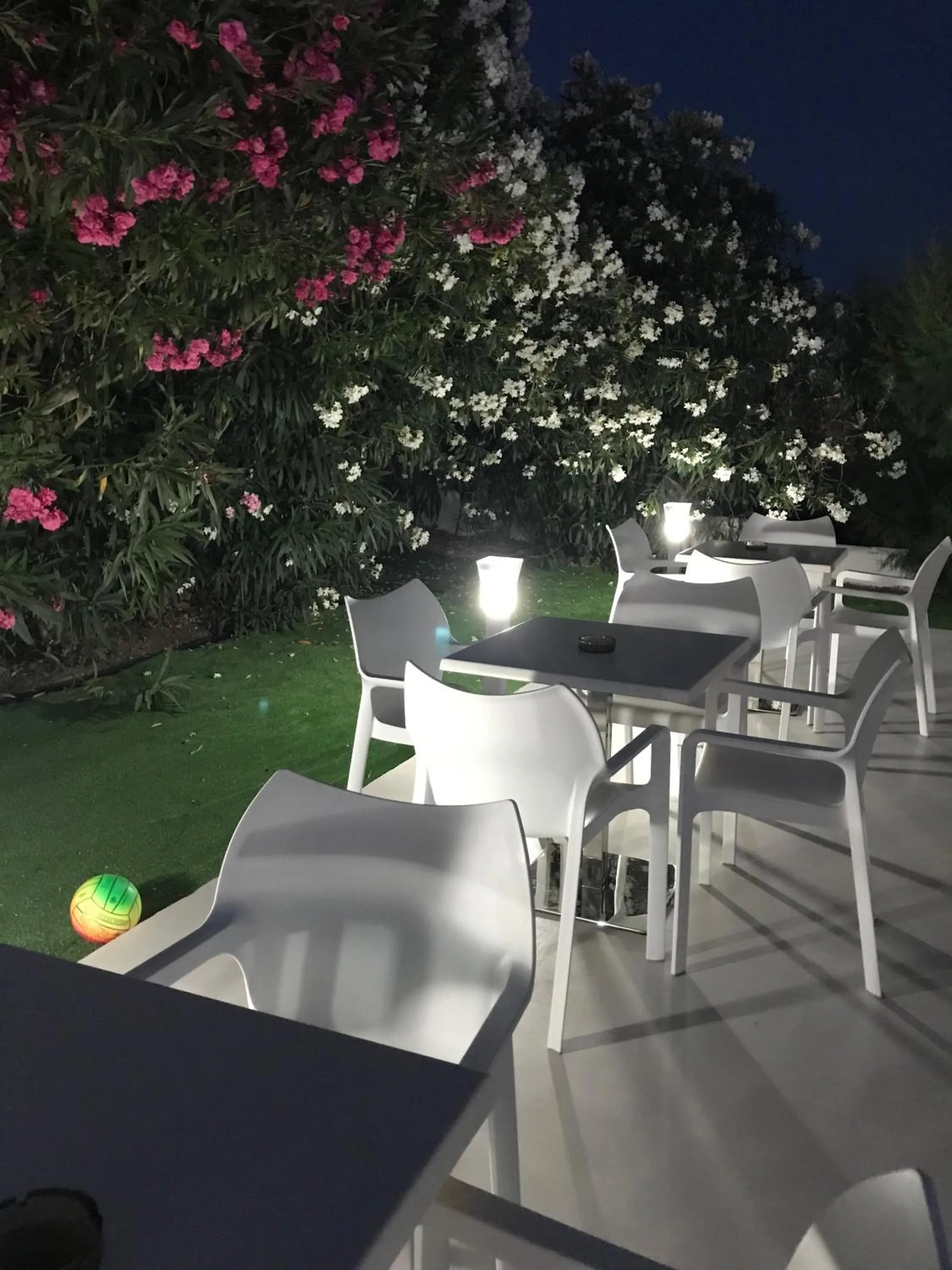 Restaurant/places to eat in Vicky's Garden