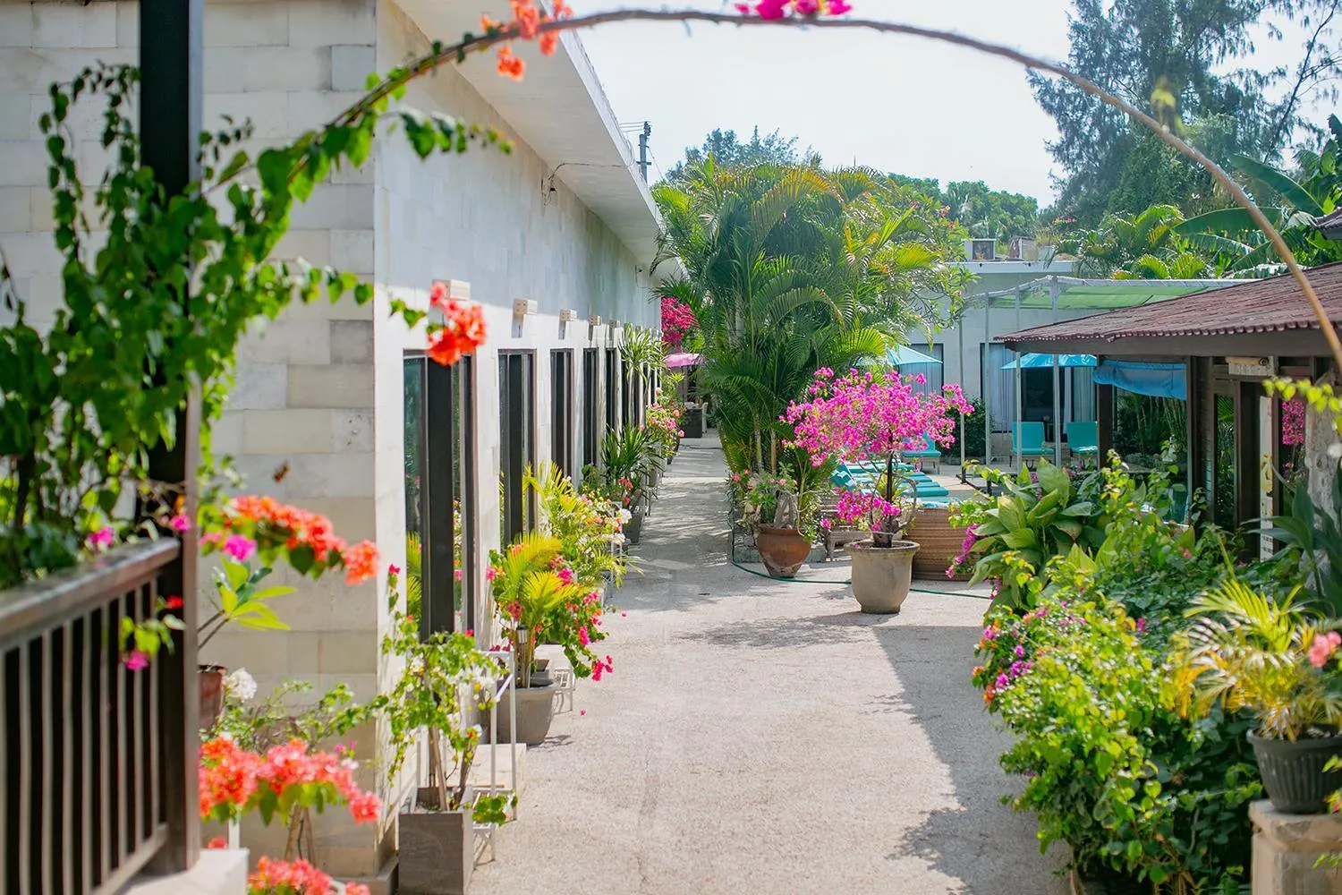 Patio in Kura Kura Resort Gili Meno