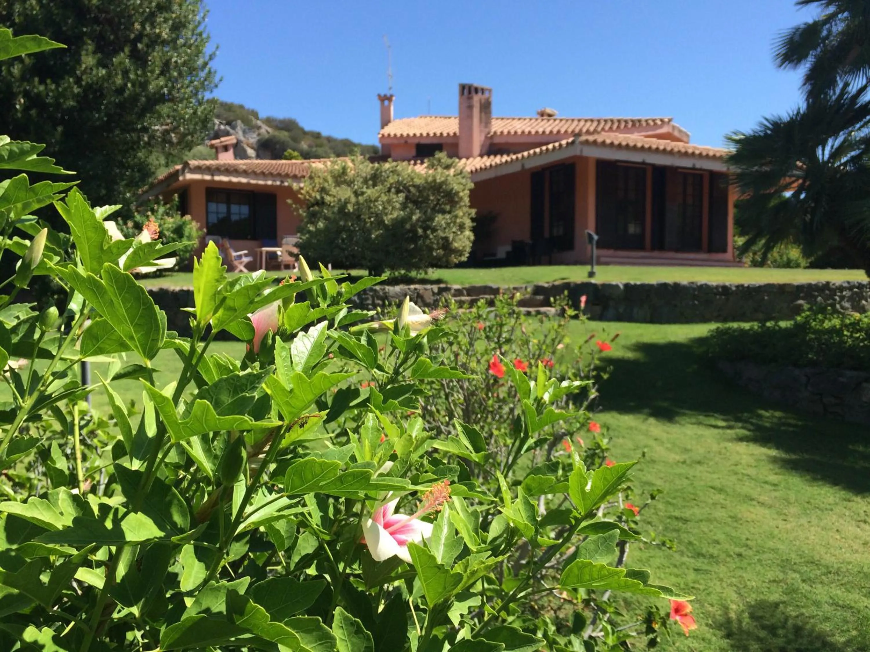 Garden view in A Casa Di Angela B&B