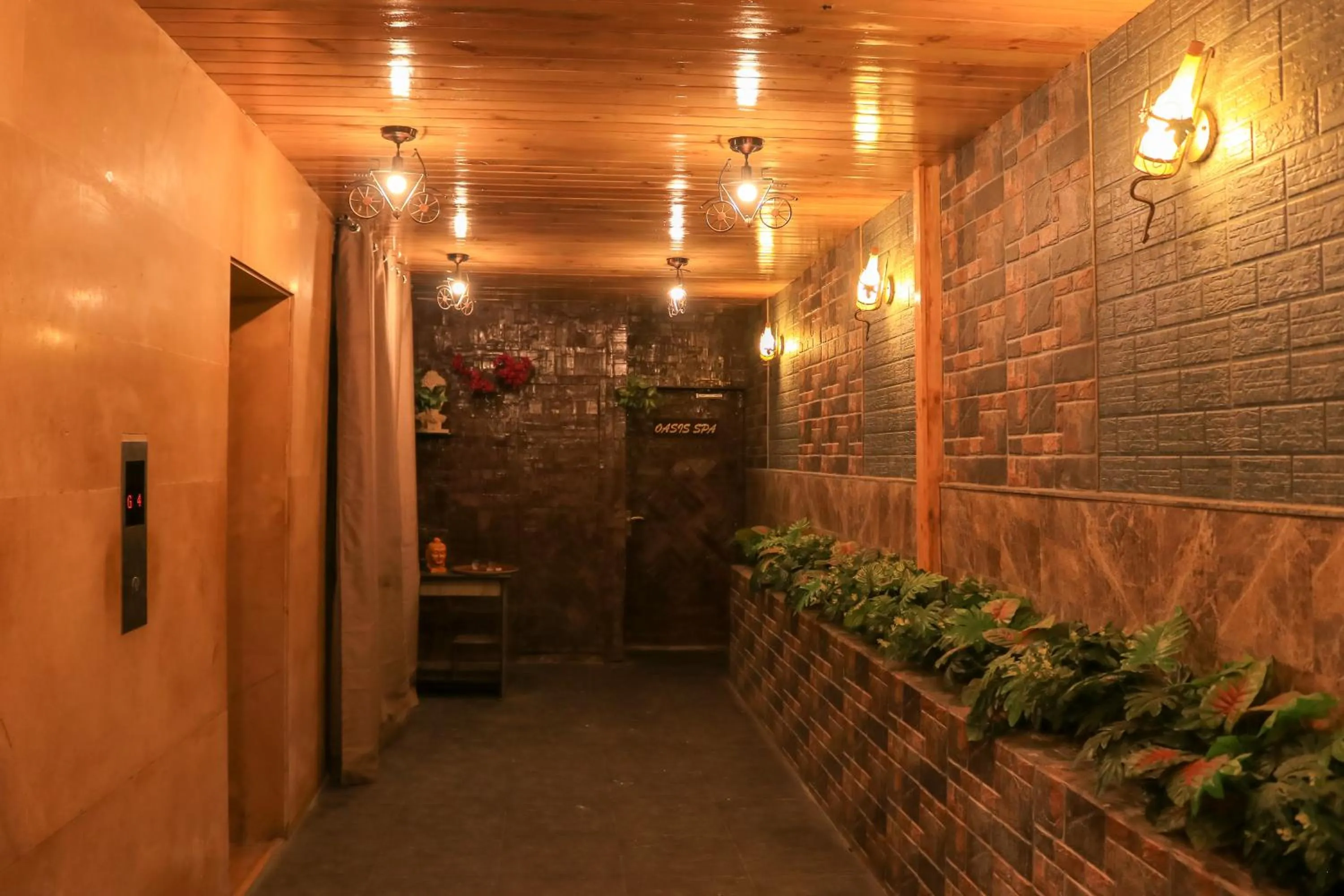 Restaurant/places to eat in Park Ocean