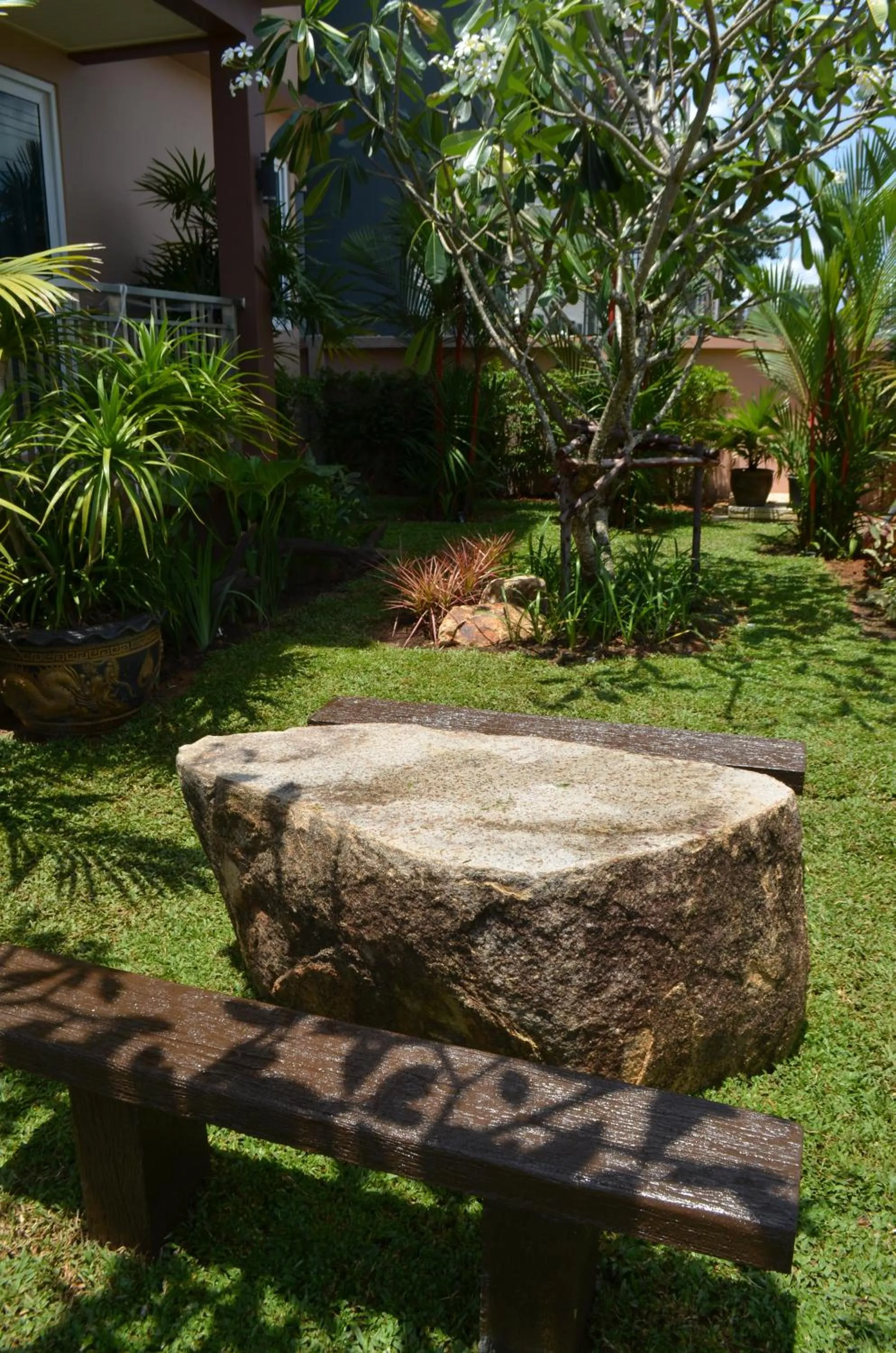 Day in David Residence