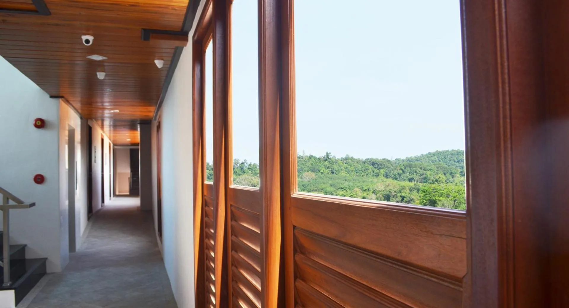 Day in David Residence