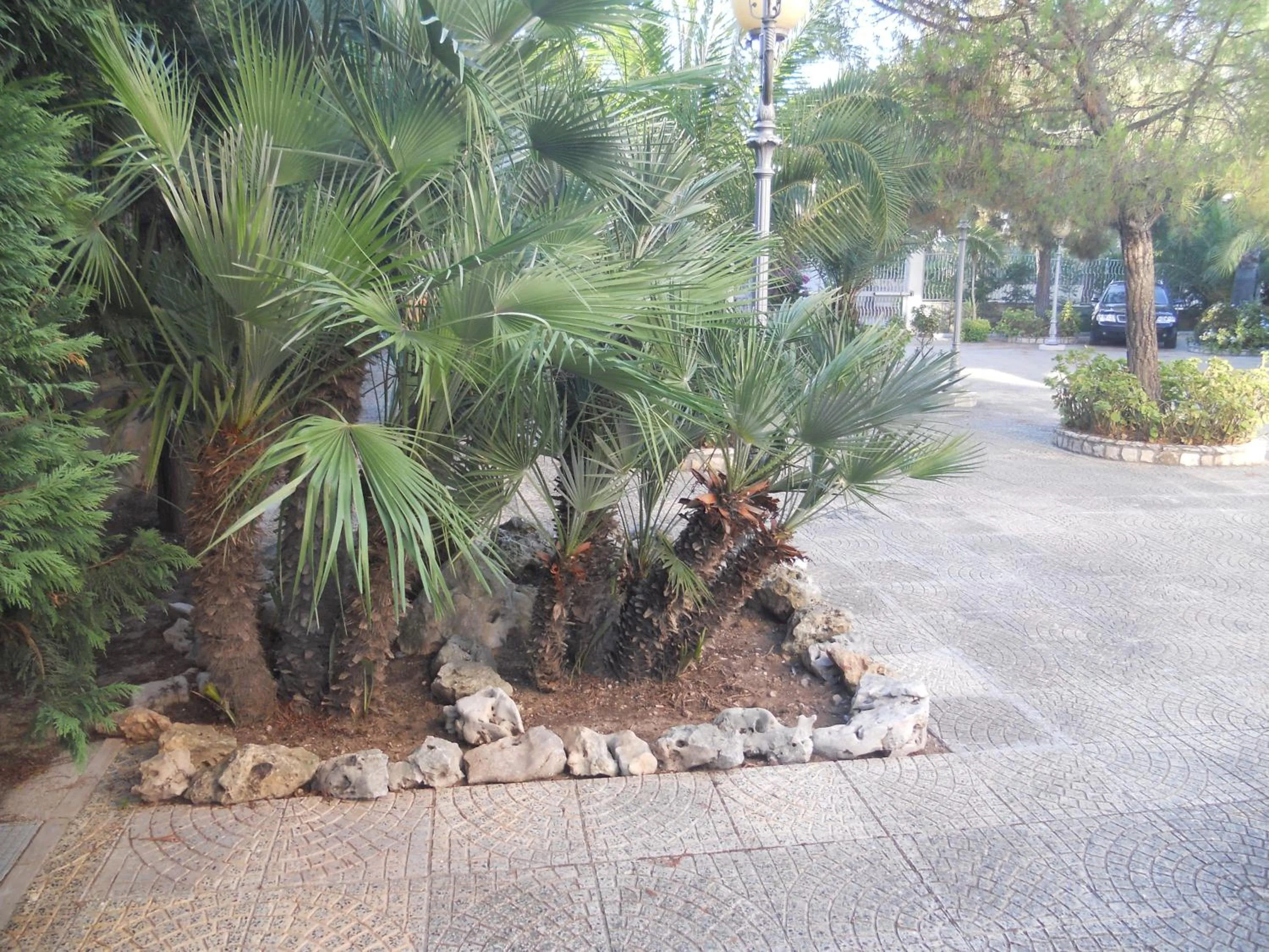 Garden in Villa Erry