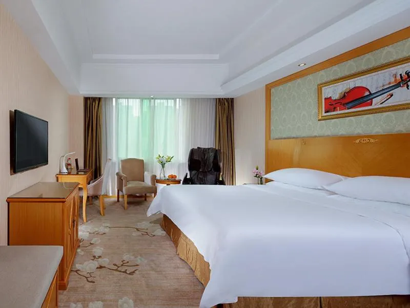 Vienna Hotel Yueyang Zhanqian Road